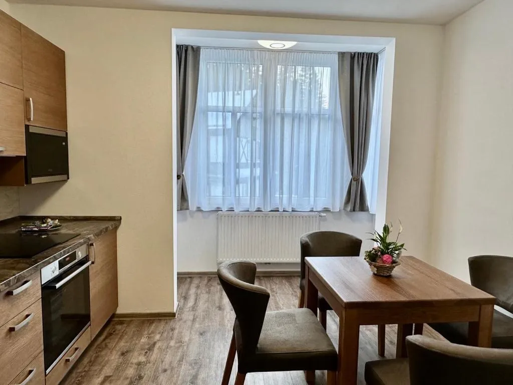 Kitchen or kitchenette in SYNEK Pension