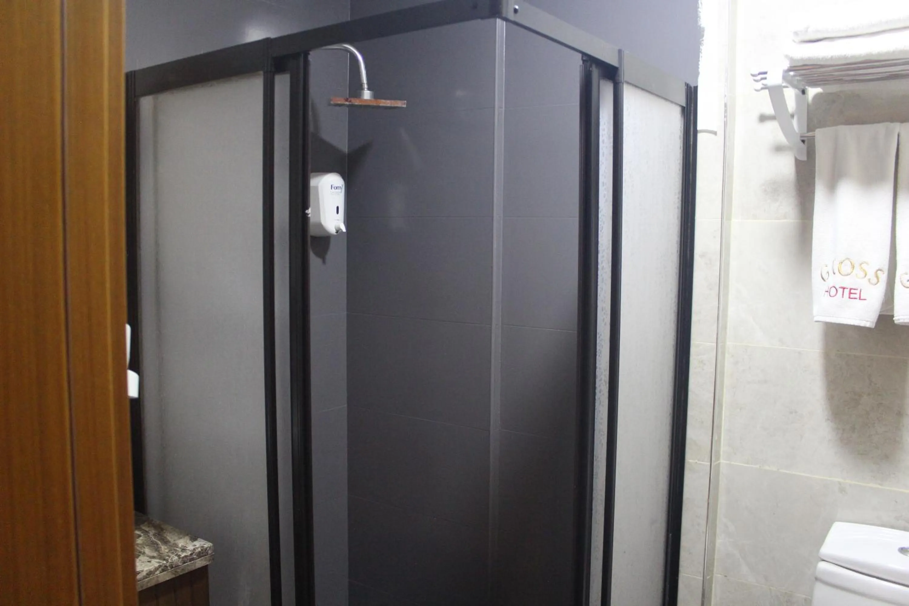 Shower in GROSS HOTEL