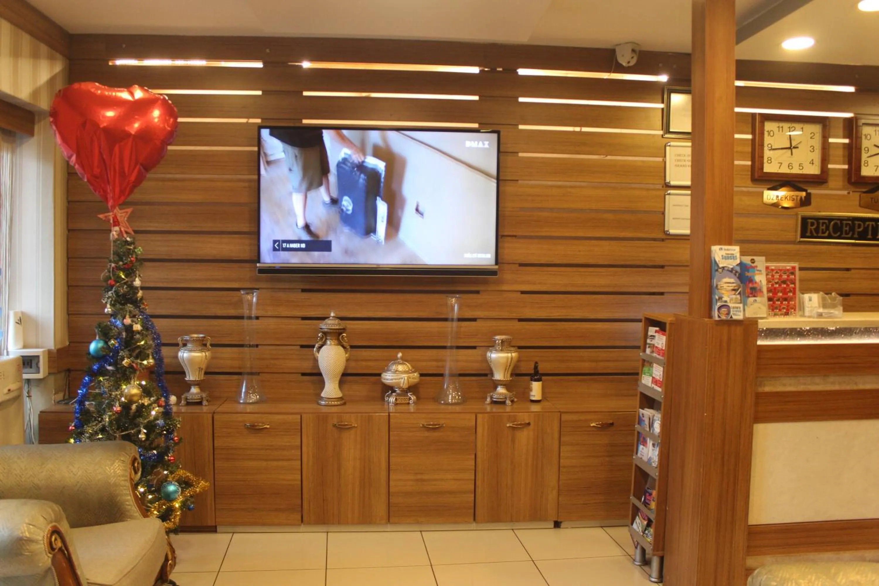 TV and multimedia in GROSS HOTEL