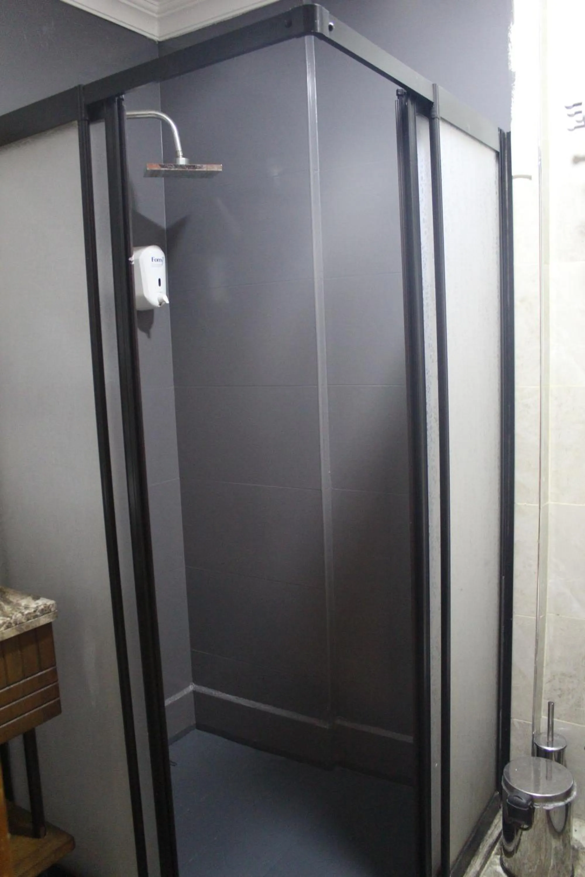 Shower in GROSS HOTEL