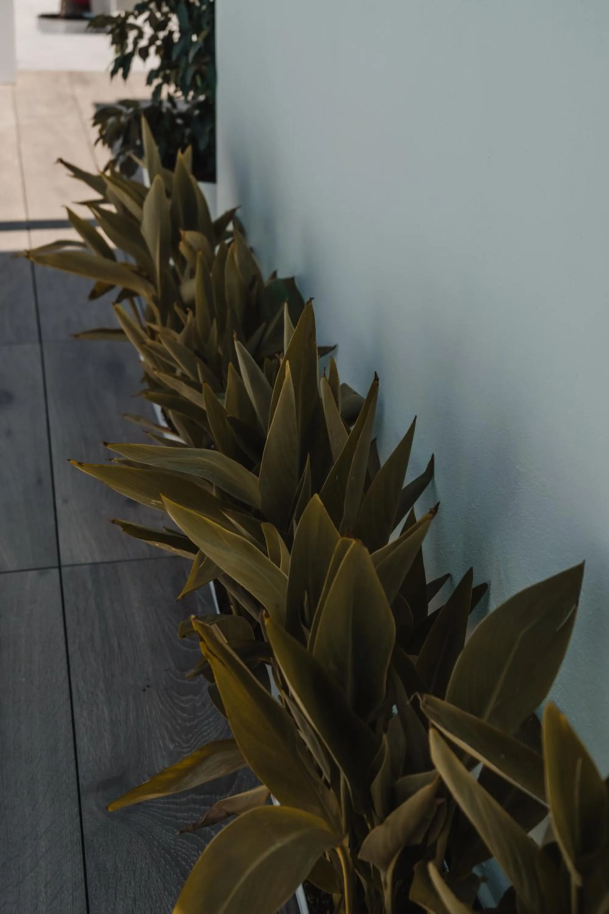 Balcony/Terrace in esZentrico Suites Jerez