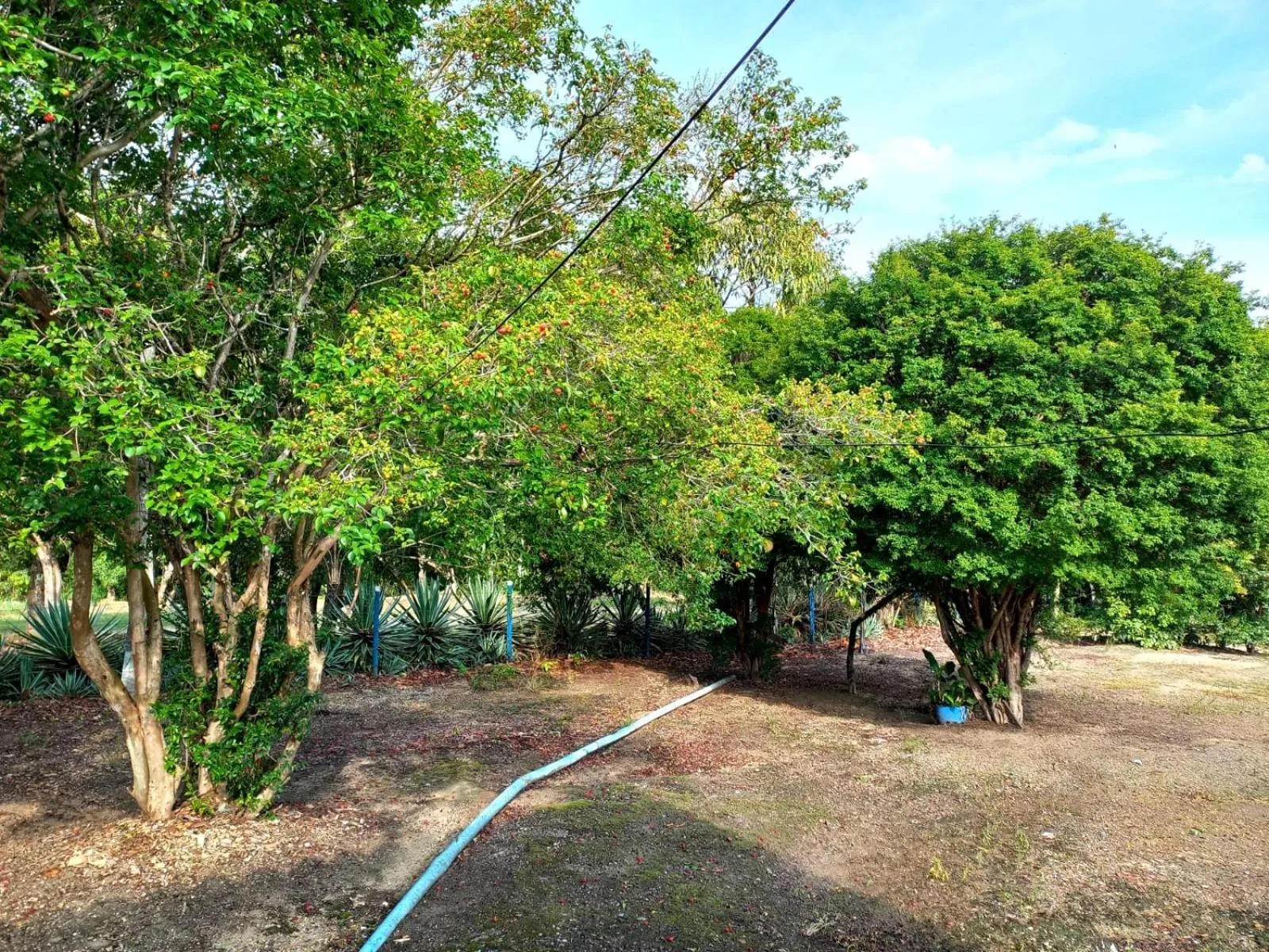 Swimming pool in RANCHO PÉ DA SERRA