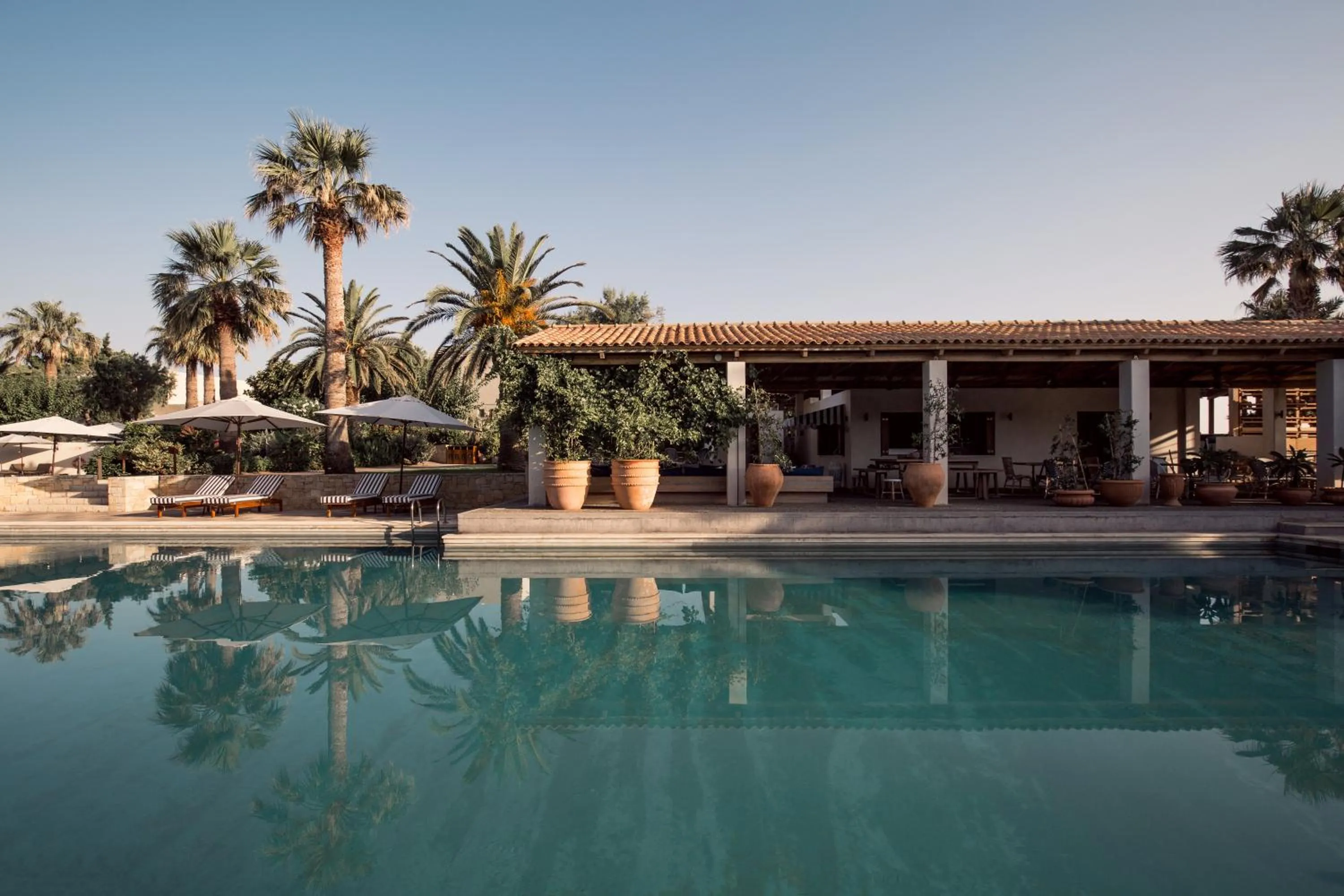 Pool view in Phāea Cretan Malia, a Member of Design Hotels