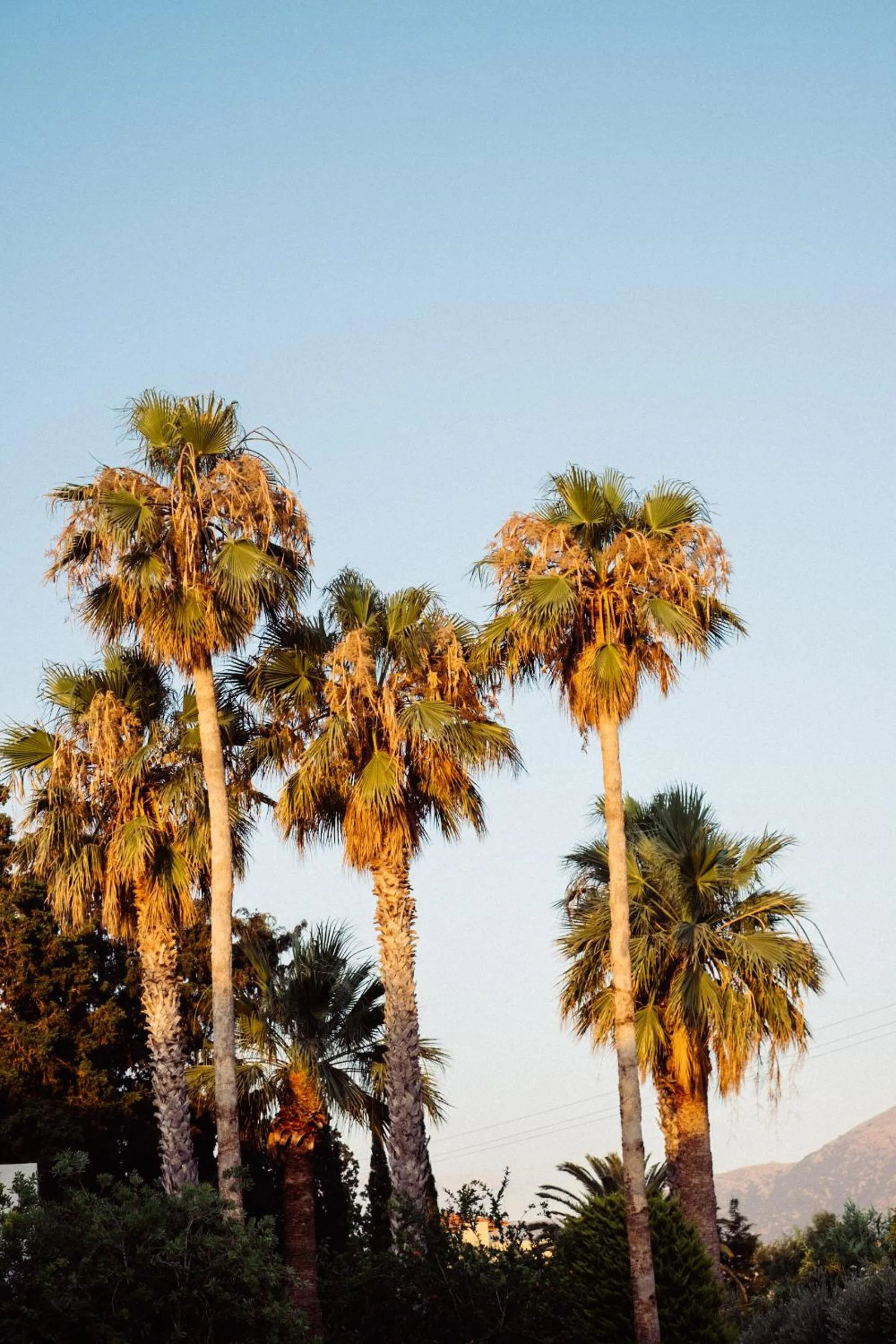 View (from property/room) in Phāea Cretan Malia, a Member of Design Hotels