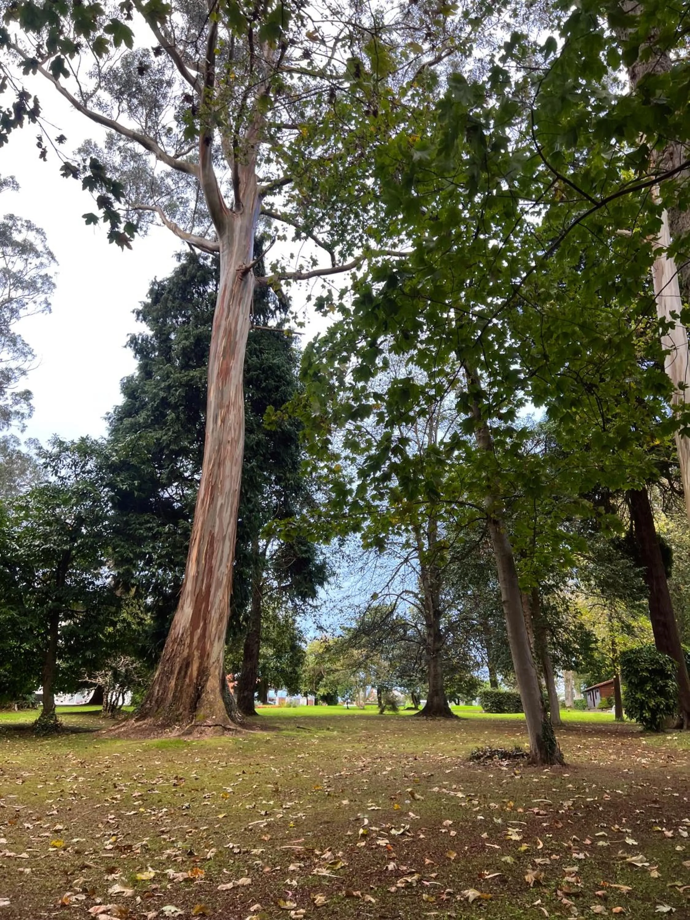 Natural landscape in HOTEL BOUTIQUE VILLA DEL MARQUÉS
