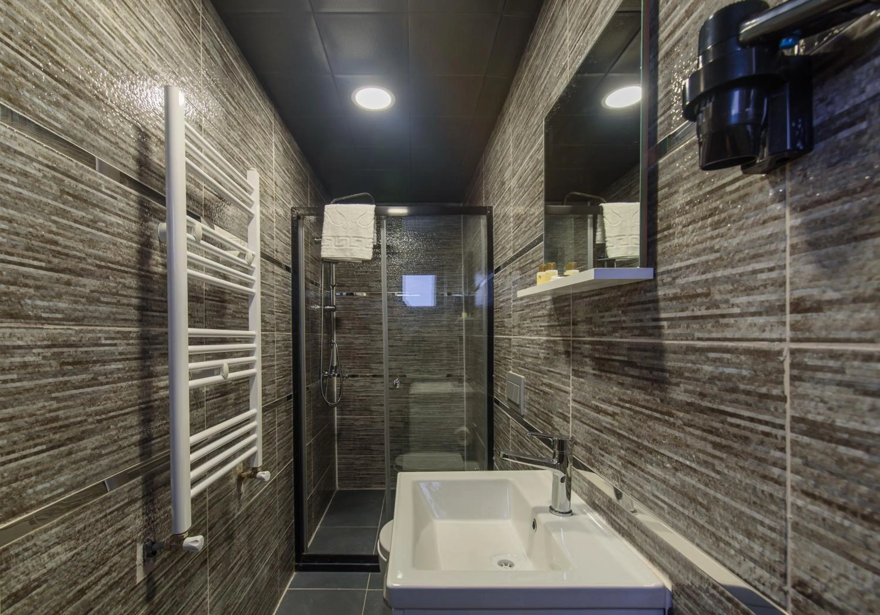 Bathroom in DS REGULUS