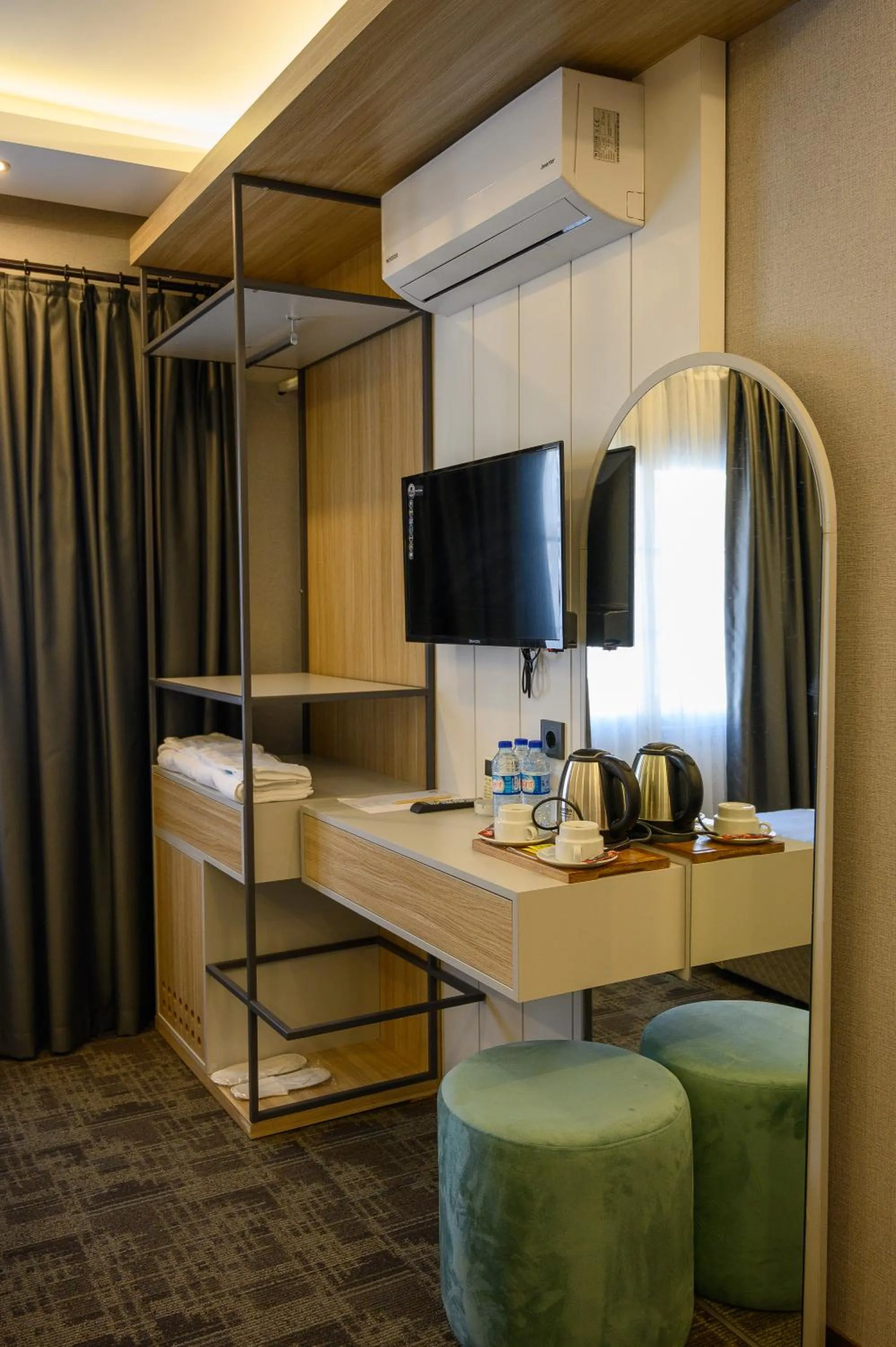 TV and multimedia in DS REGULUS