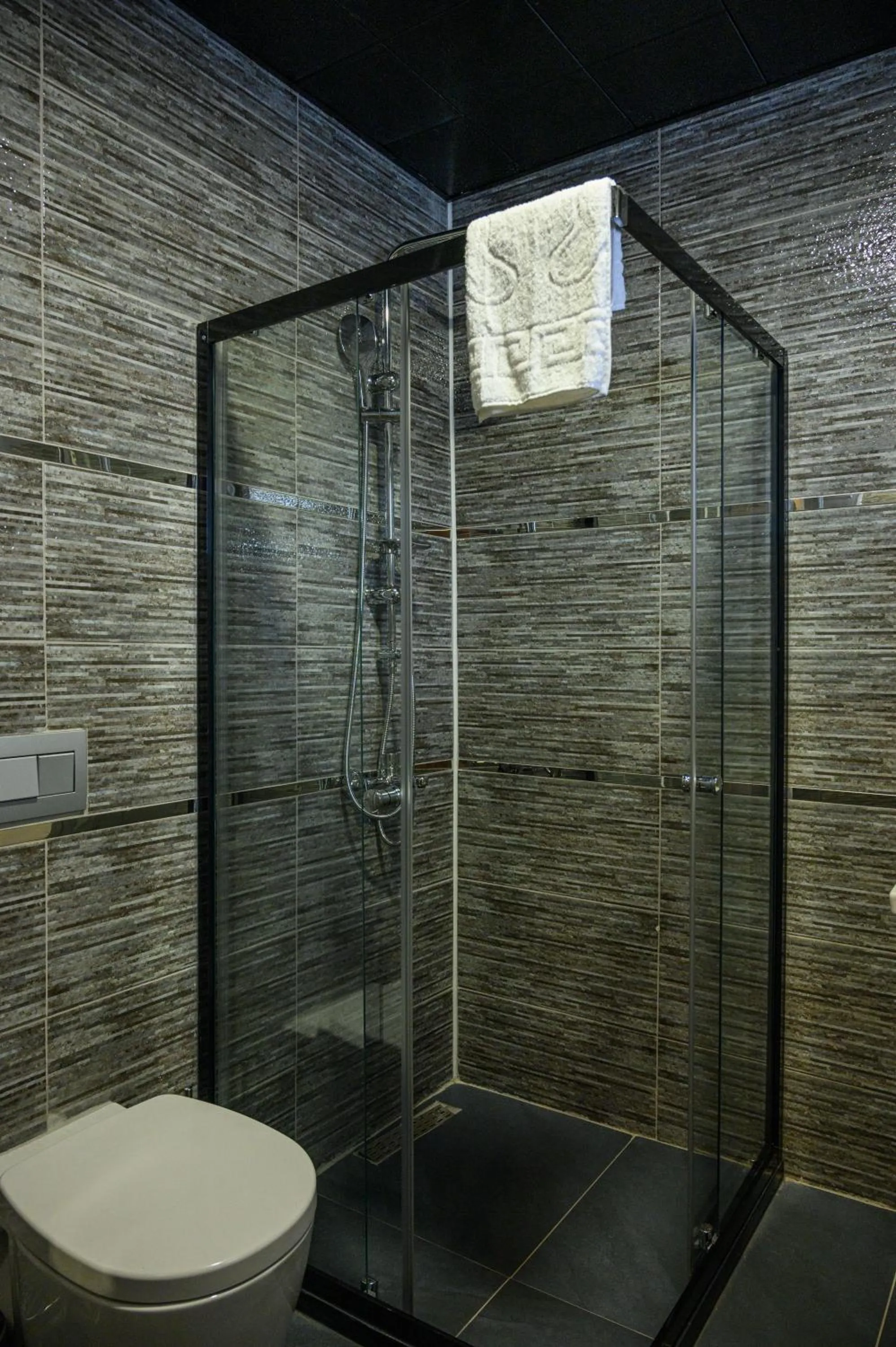 Shower in DS REGULUS