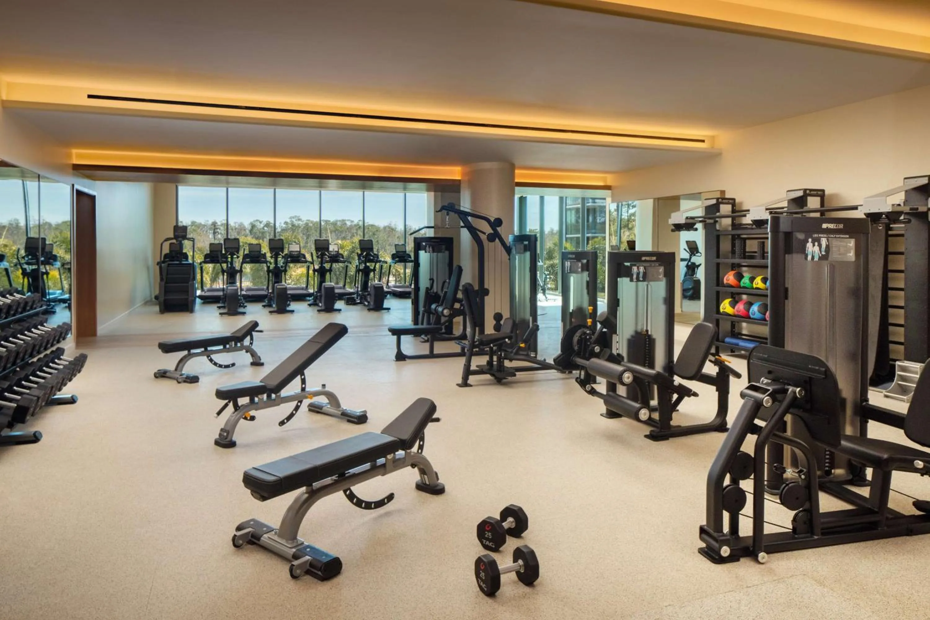 Fitness centre/facilities in Conrad Orlando