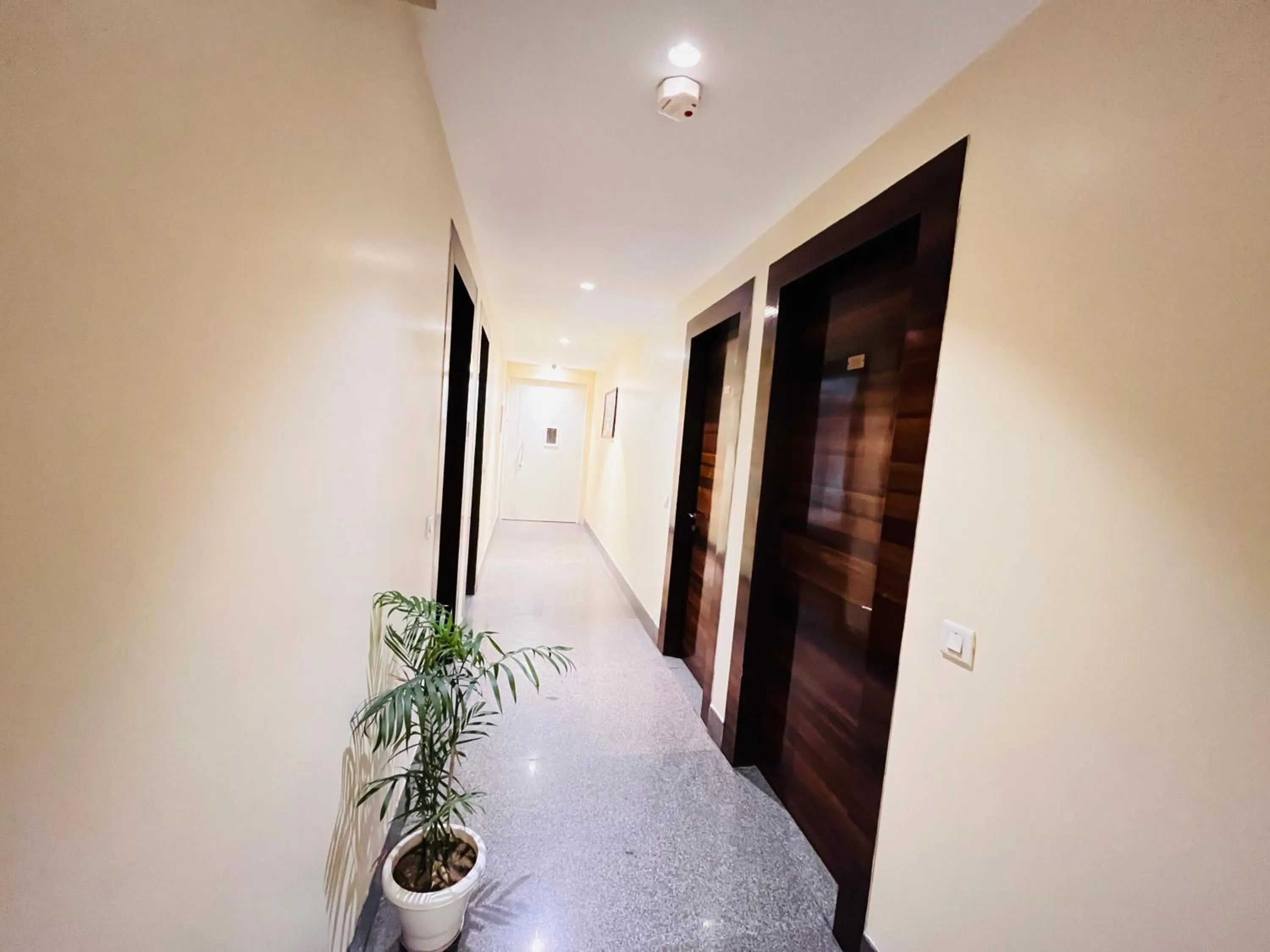 Property building in Ganga Ashoka Hotel Rishikesh