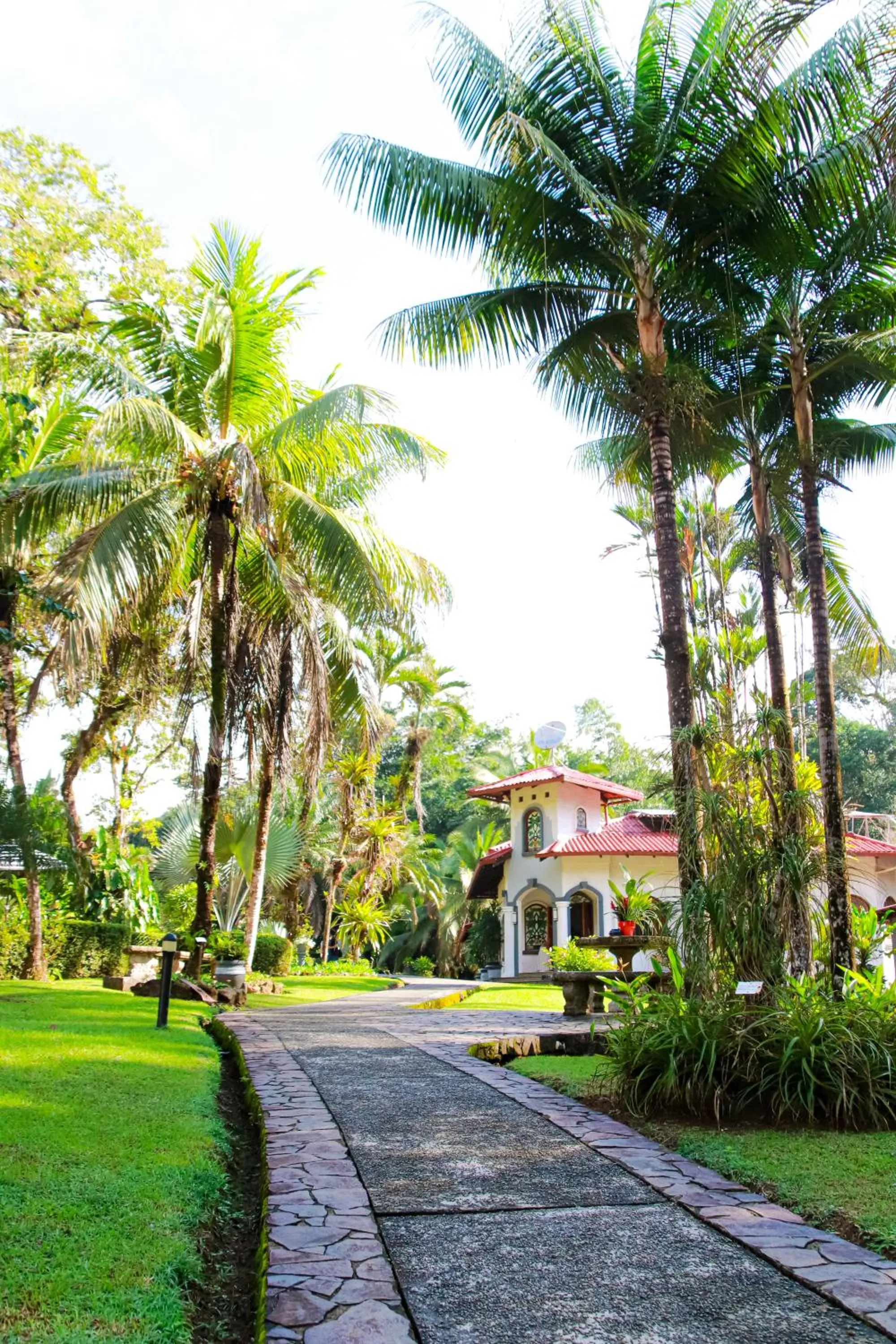 Property building in Corcovado Wilderness Lodge by SCP