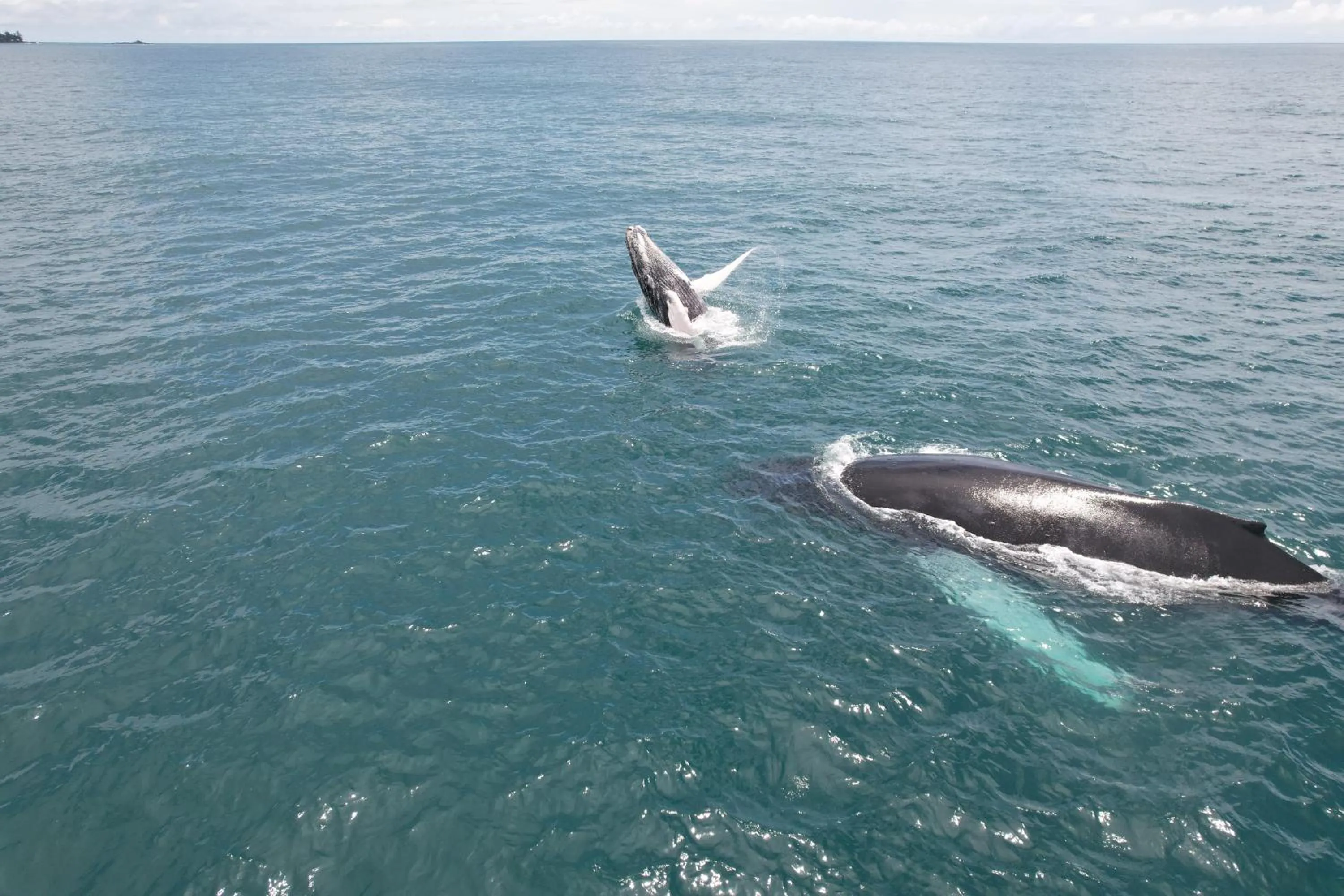 Activities in Corcovado Wilderness Lodge by SCP