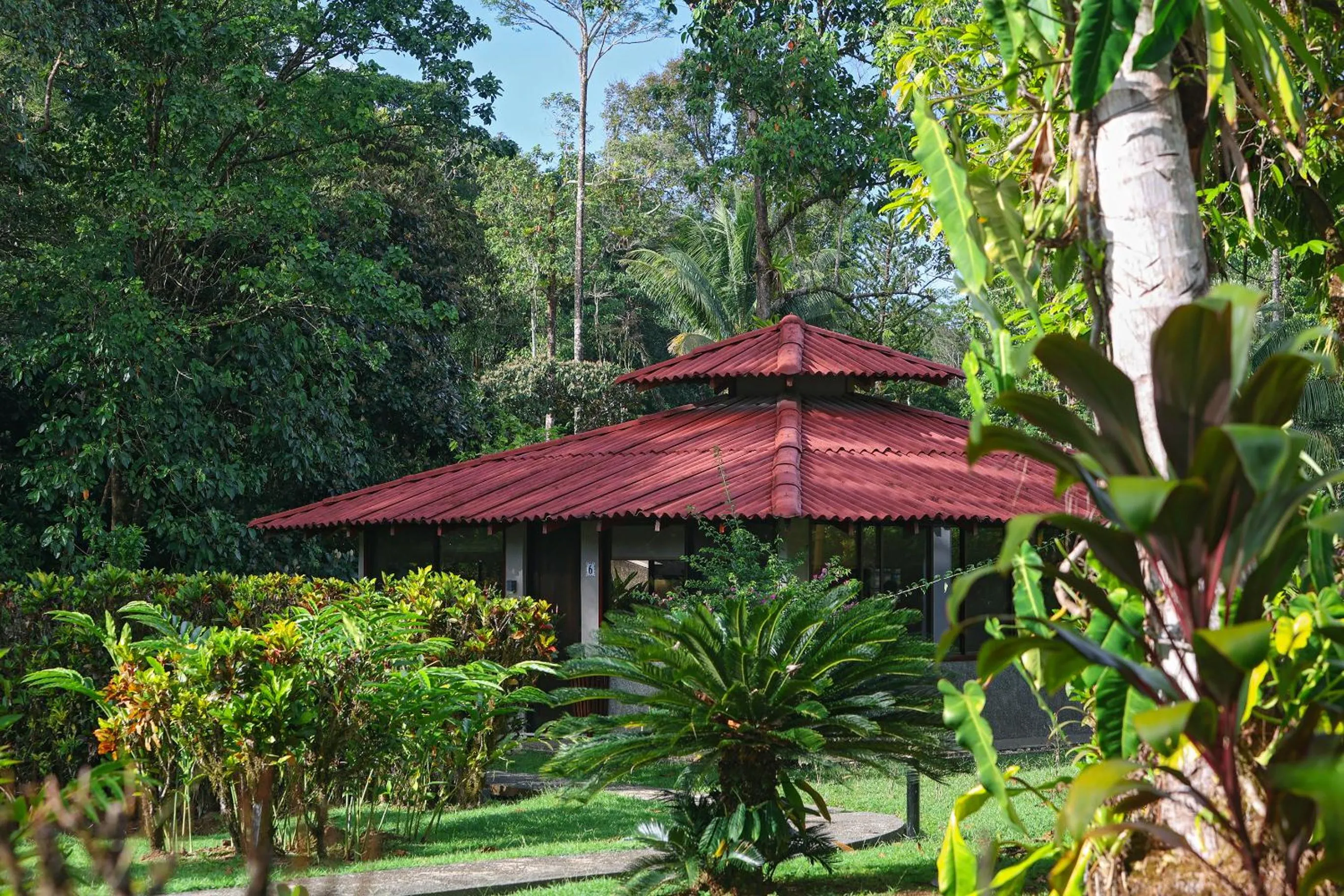 Garden view in Corcovado Wilderness Lodge by SCP
