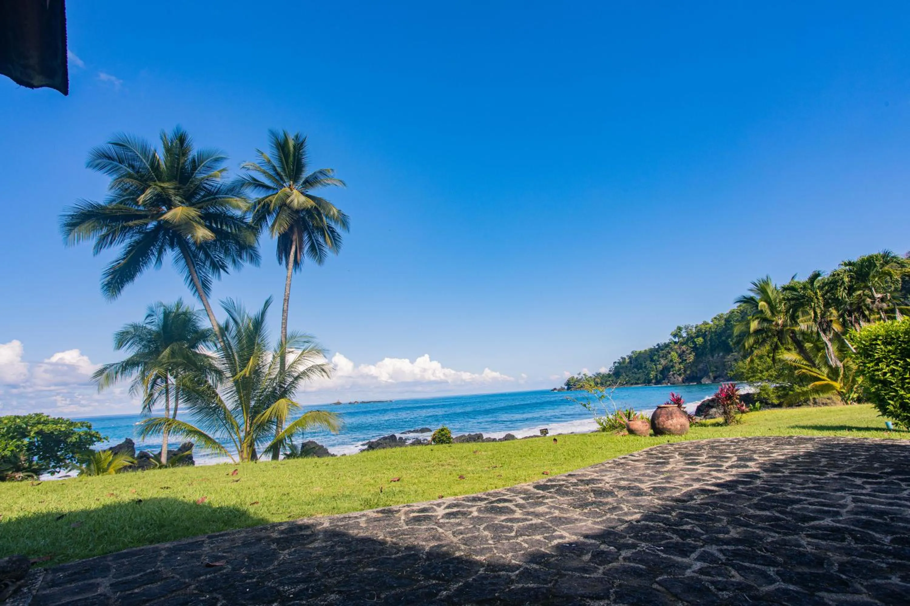 Garden in Corcovado Wilderness Lodge by SCP