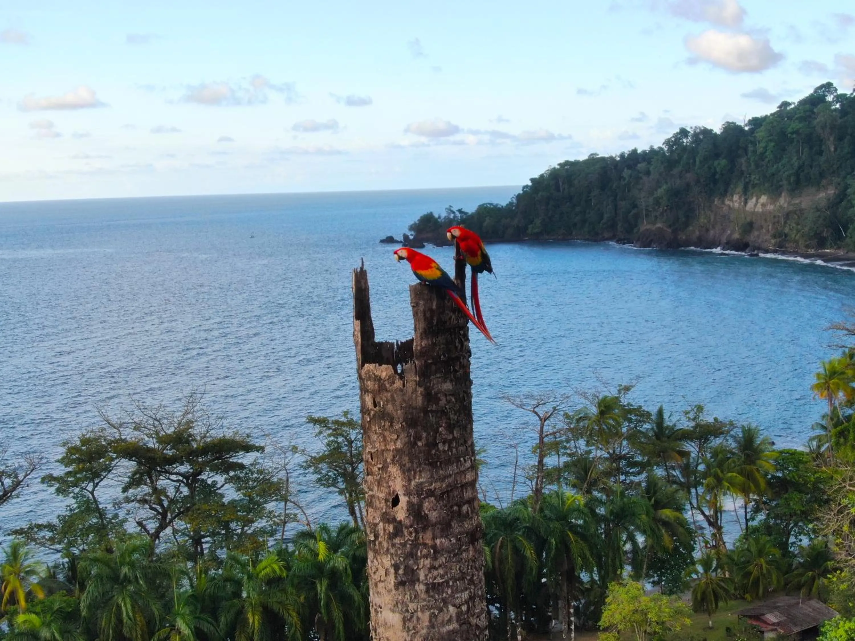 Natural landscape in Corcovado Wilderness Lodge by SCP