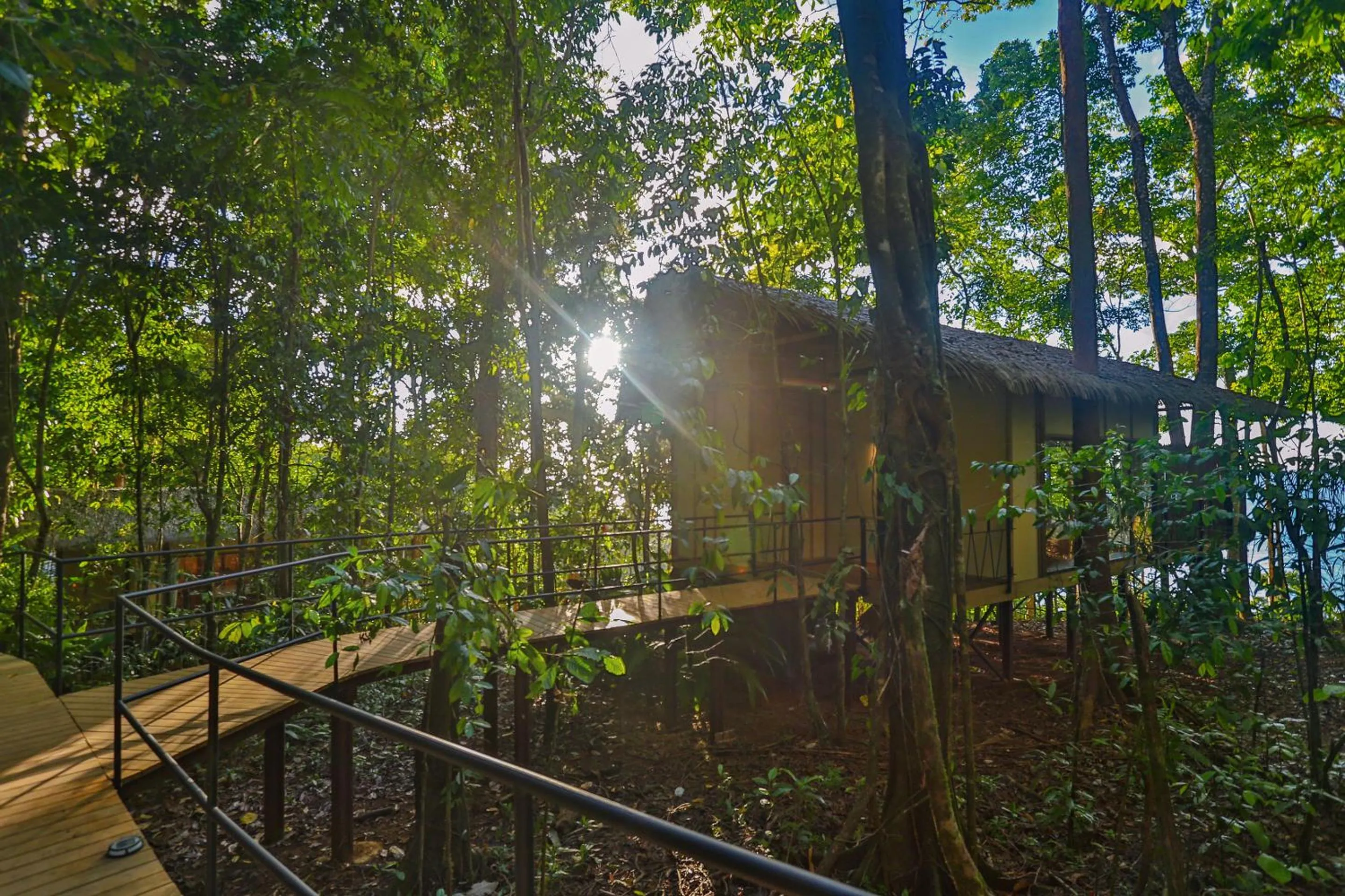 Natural landscape in Corcovado Wilderness Lodge by SCP