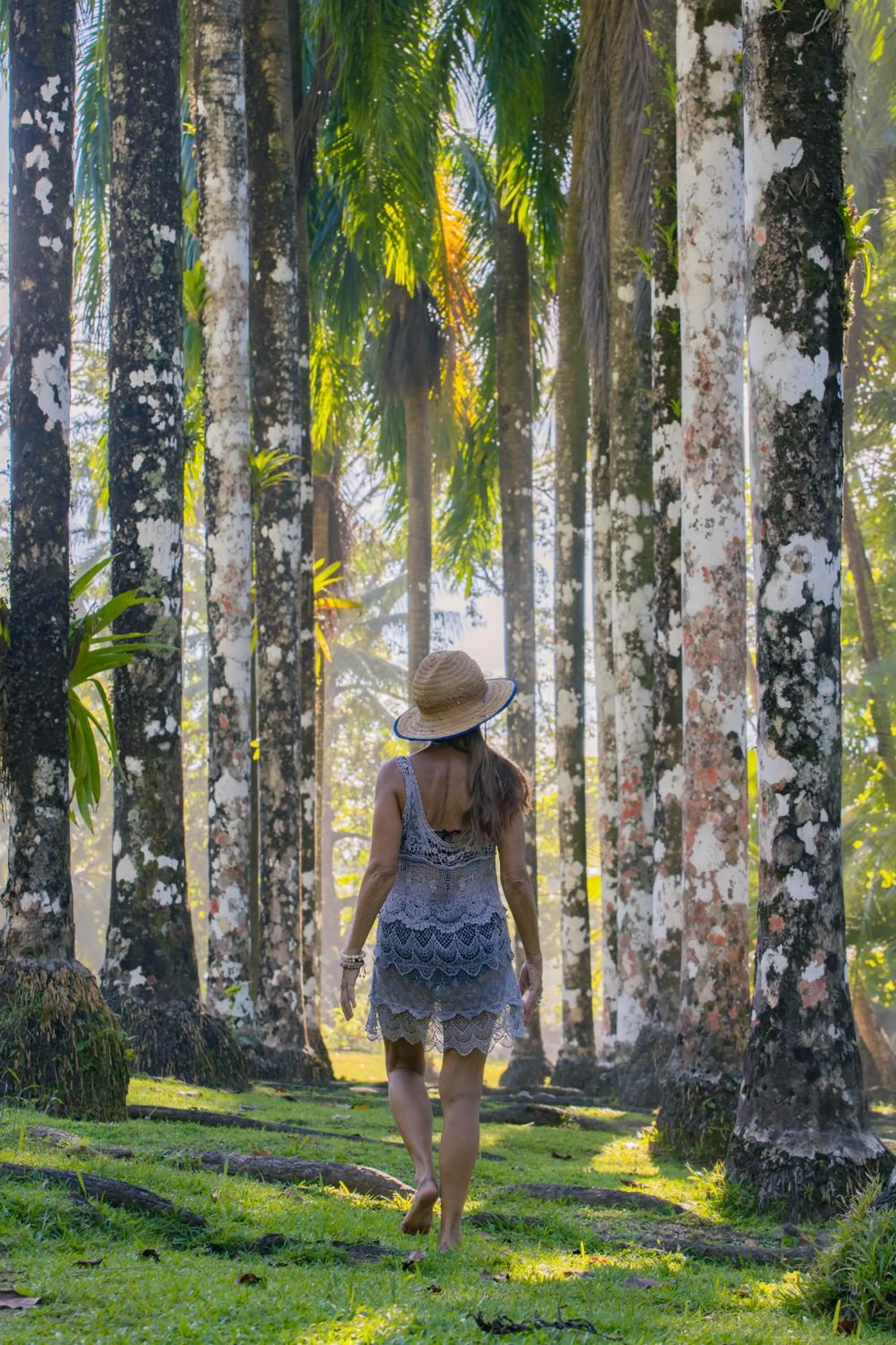 Natural landscape in Corcovado Wilderness Lodge by SCP