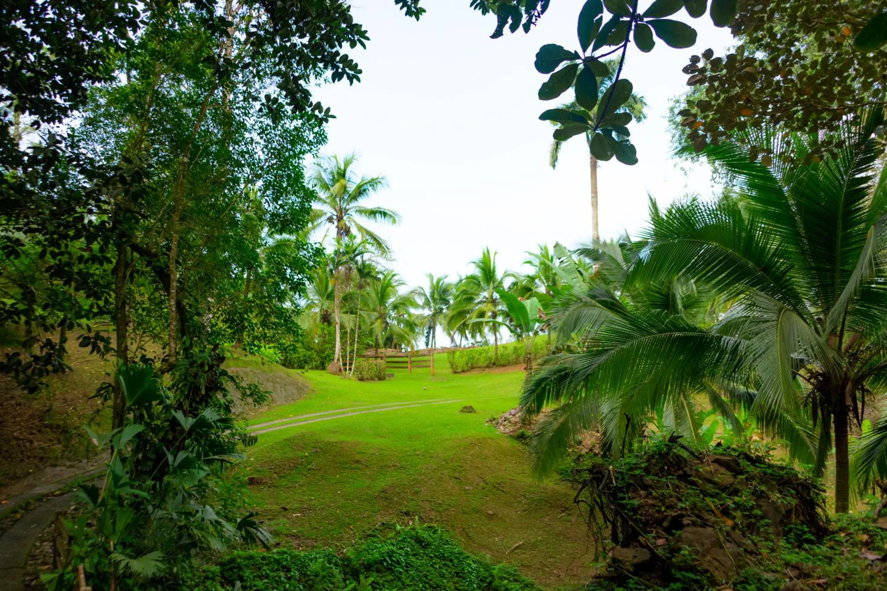 Garden in Corcovado Wilderness Lodge by SCP