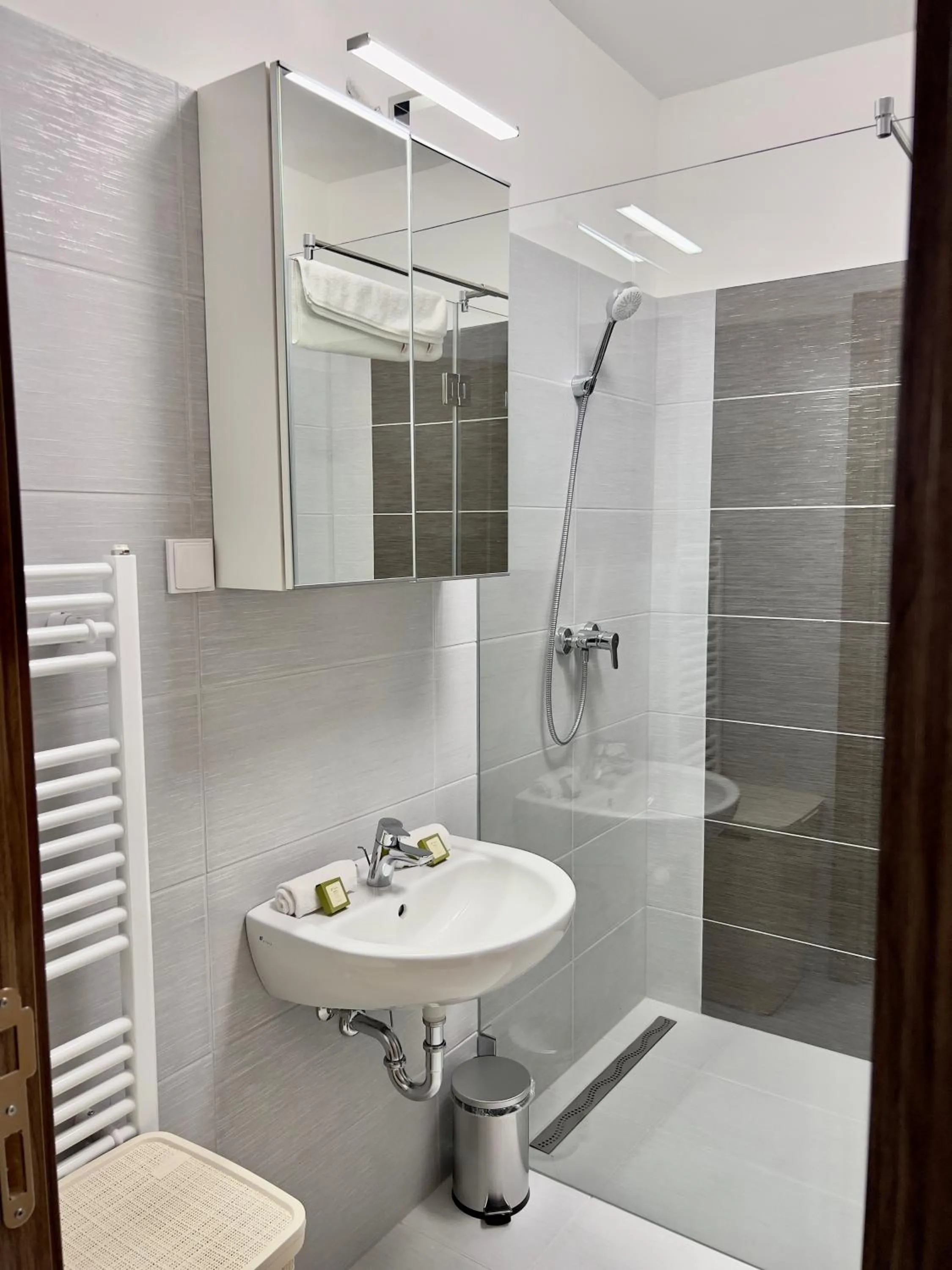 Shower in Hotel Foldana