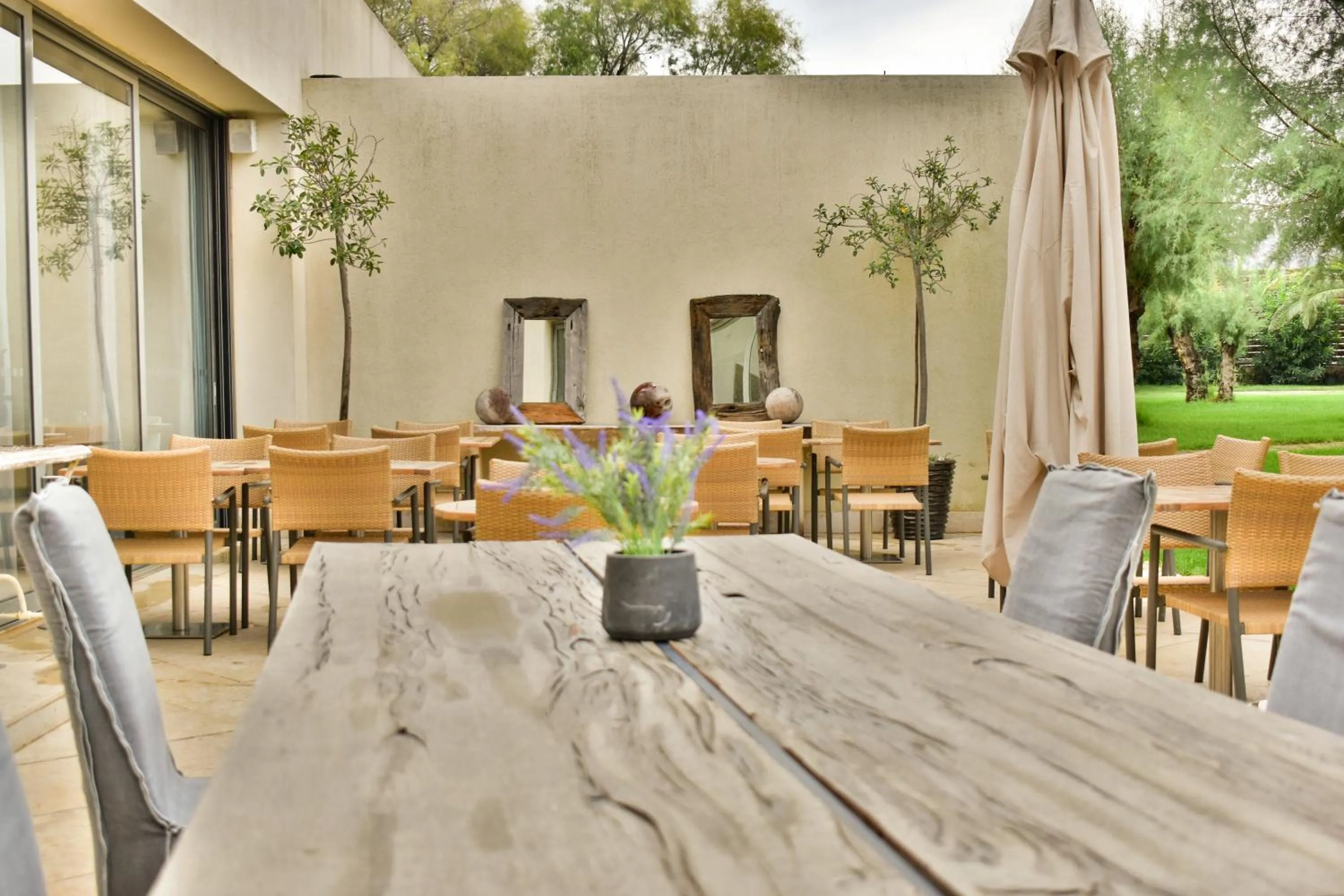 Restaurant/places to eat in Plaza Resort