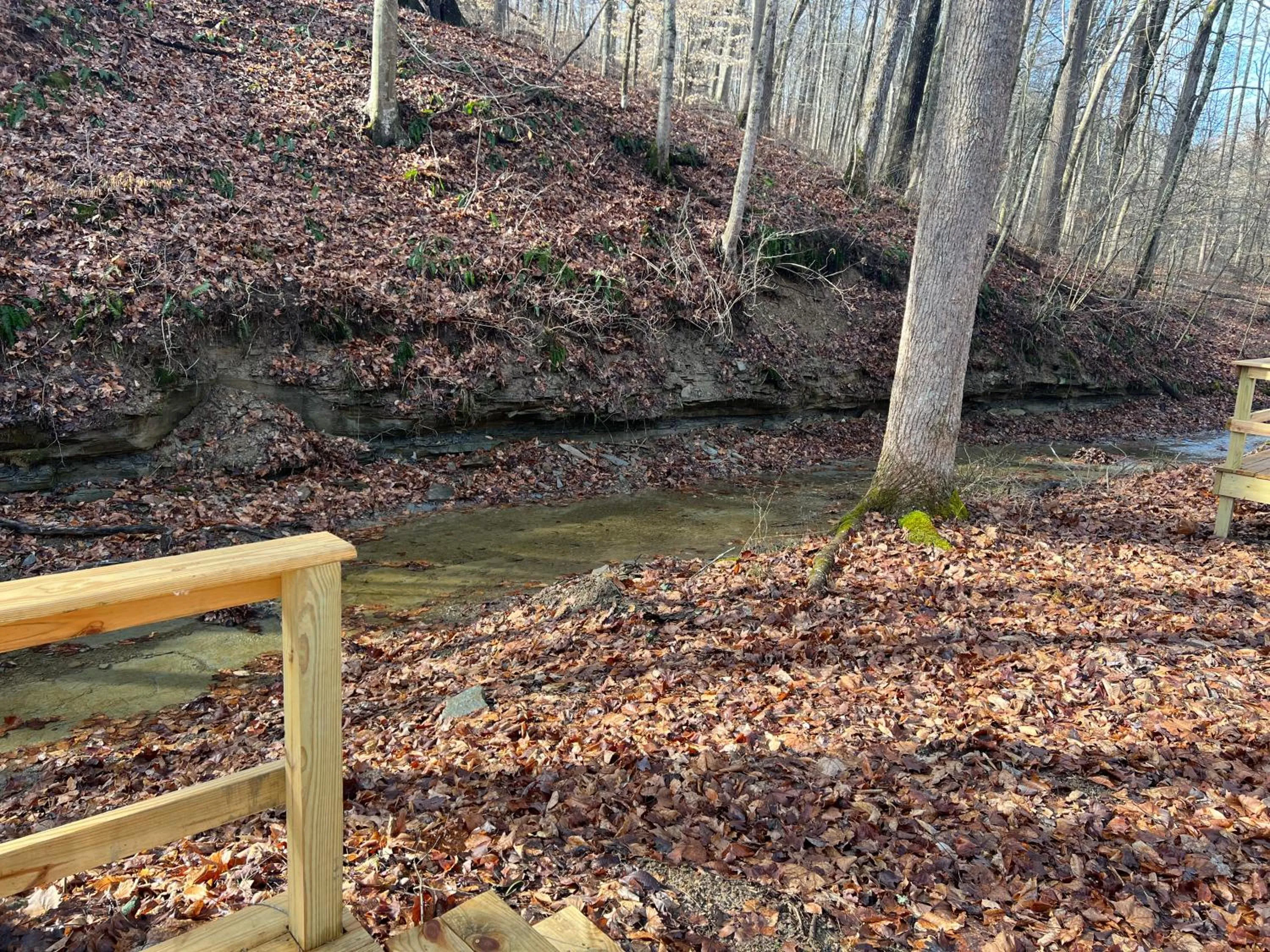 Natural landscape in Harmony Tree Resorts inc