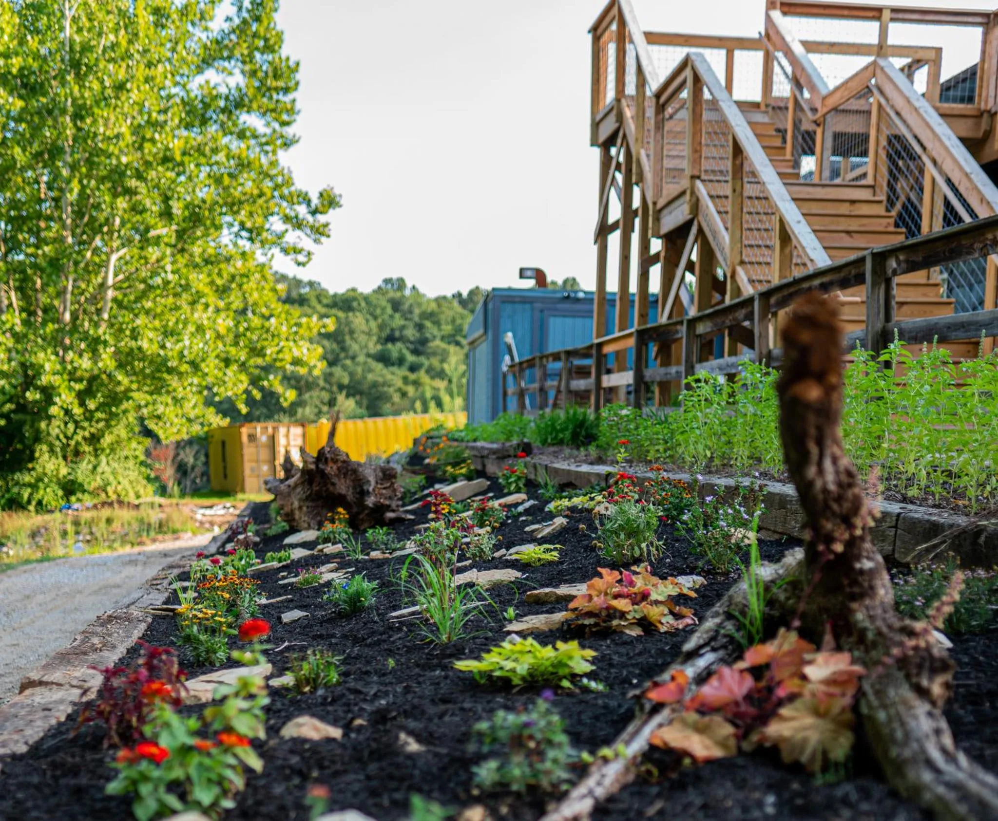 Property building in Harmony Tree Resorts inc