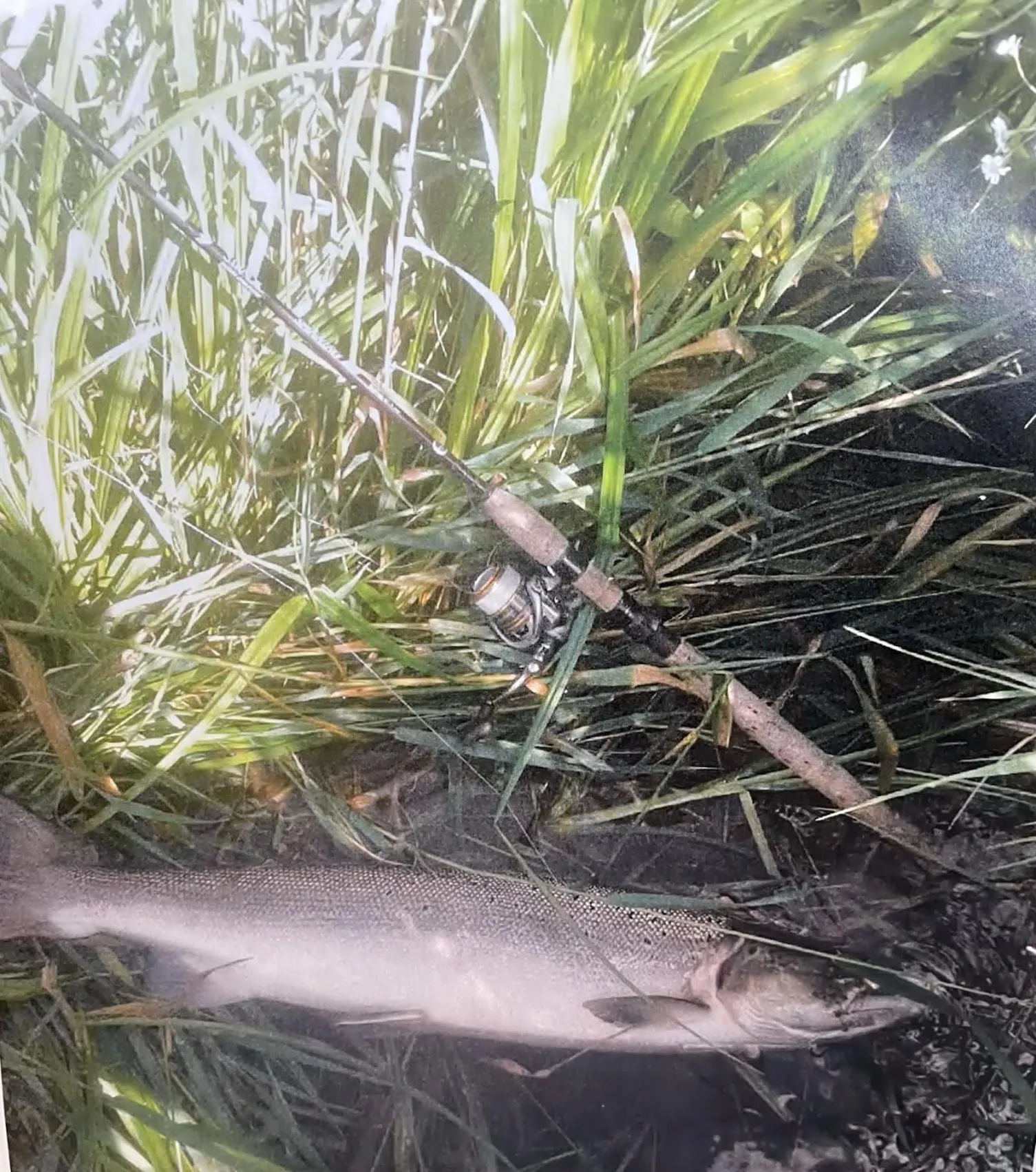 Fishing in Skjernaa-ferie/ Andersen Invest