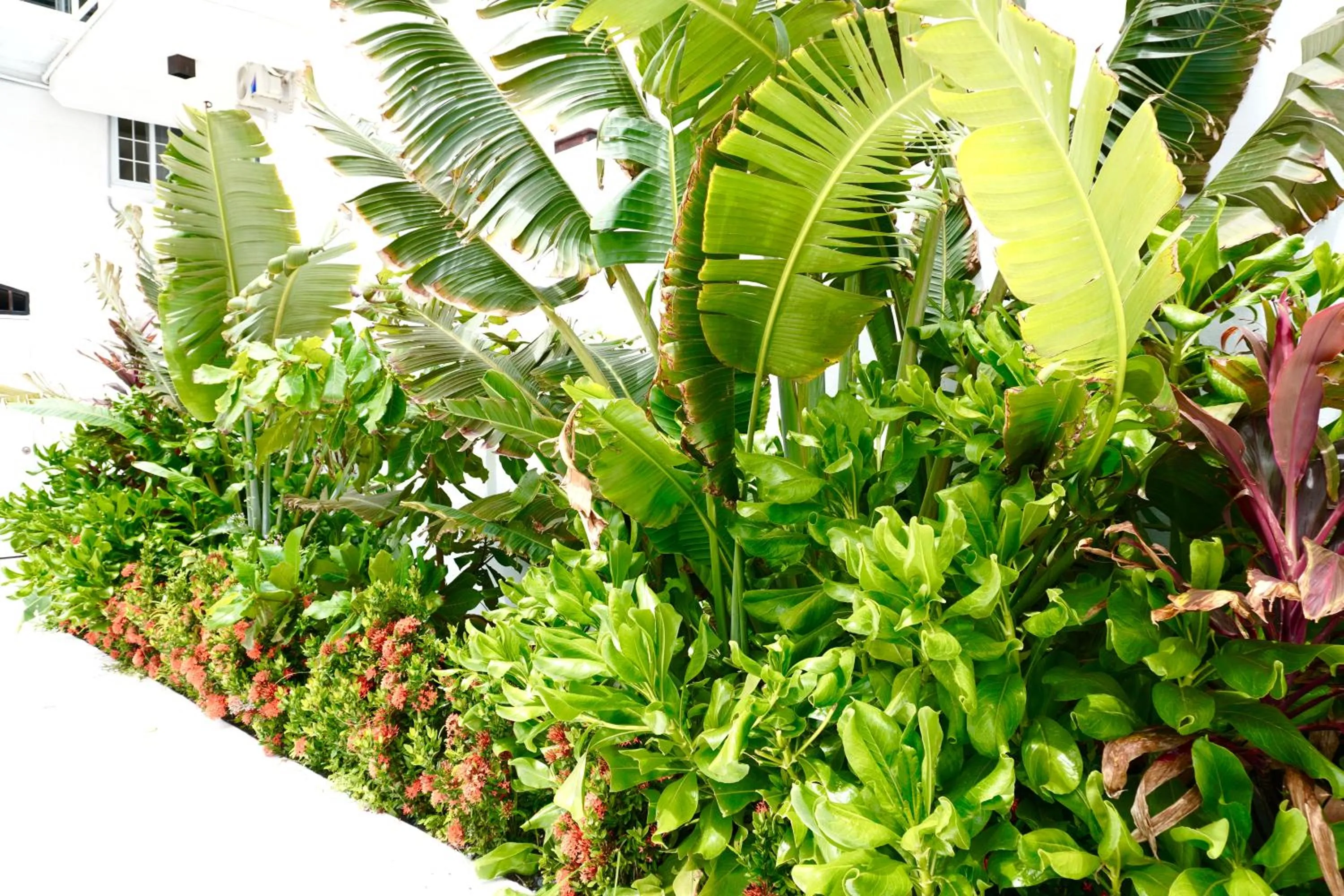Swimming pool in Ocean View Hotel and Restaurant