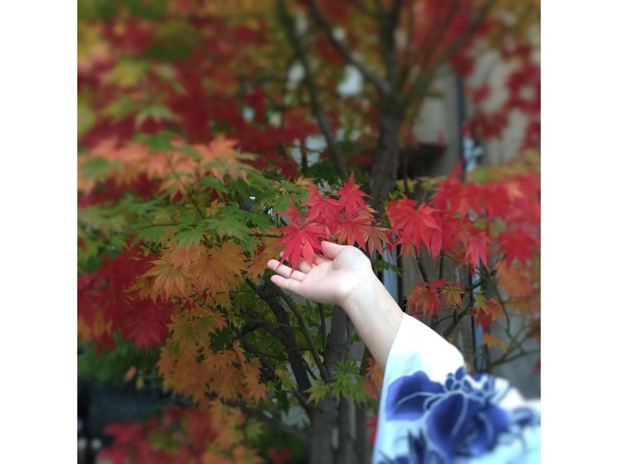 Kusatsu Onsen 326 Yamanoyu Hotel - Vacation STAY 10465v