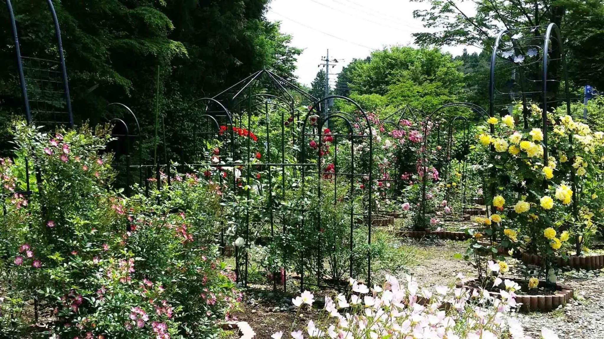 Sudomari no Yado Sunmore - Vacation STAY 46754v