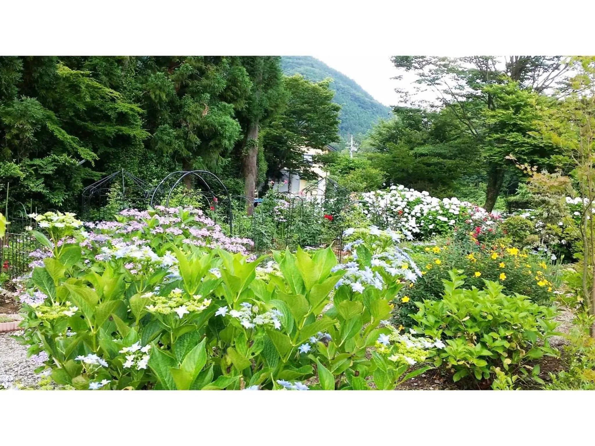 Sudomari no Yado Sunmore - Vacation STAY 46754v