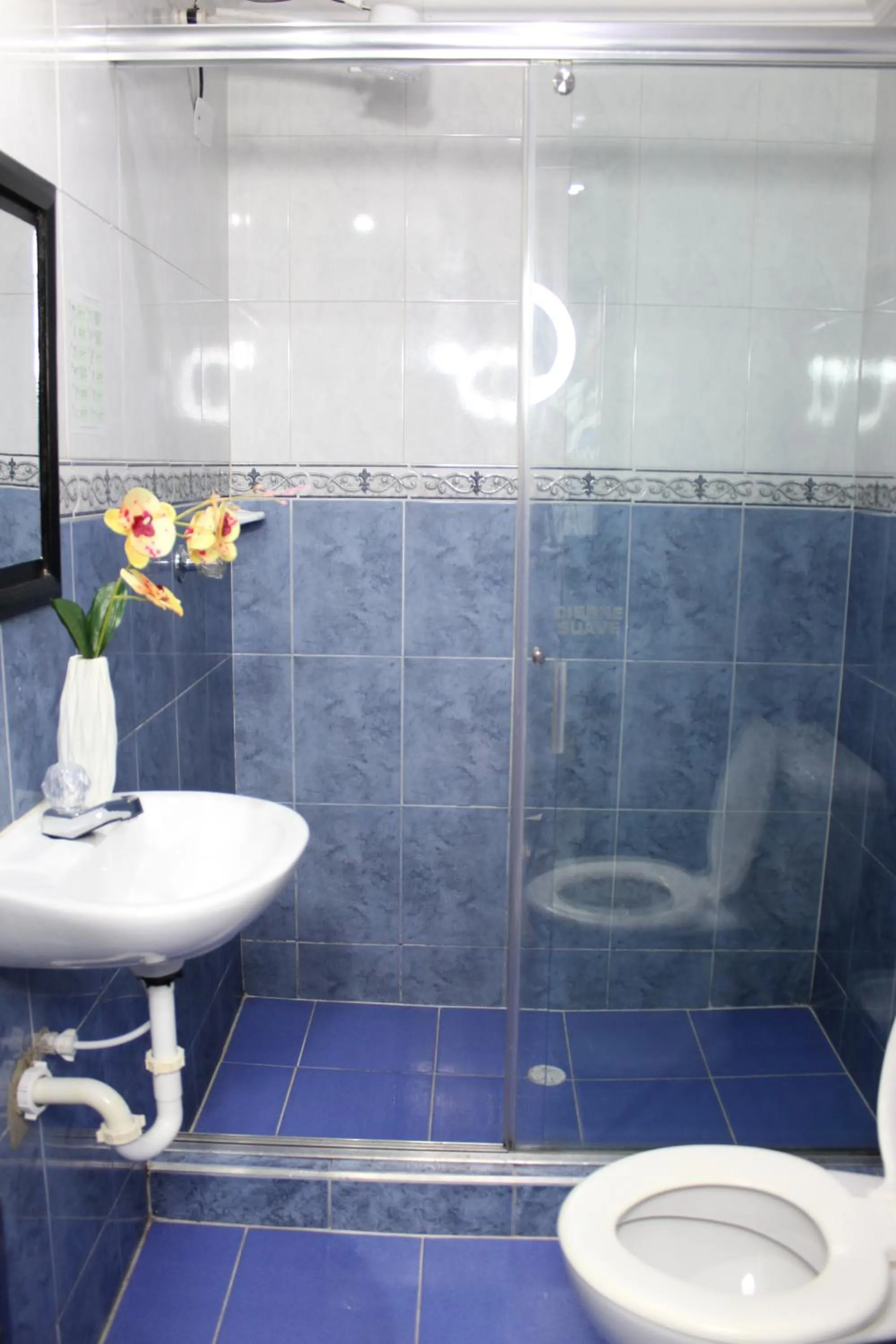 Hotel Windsor Castle Bogotá