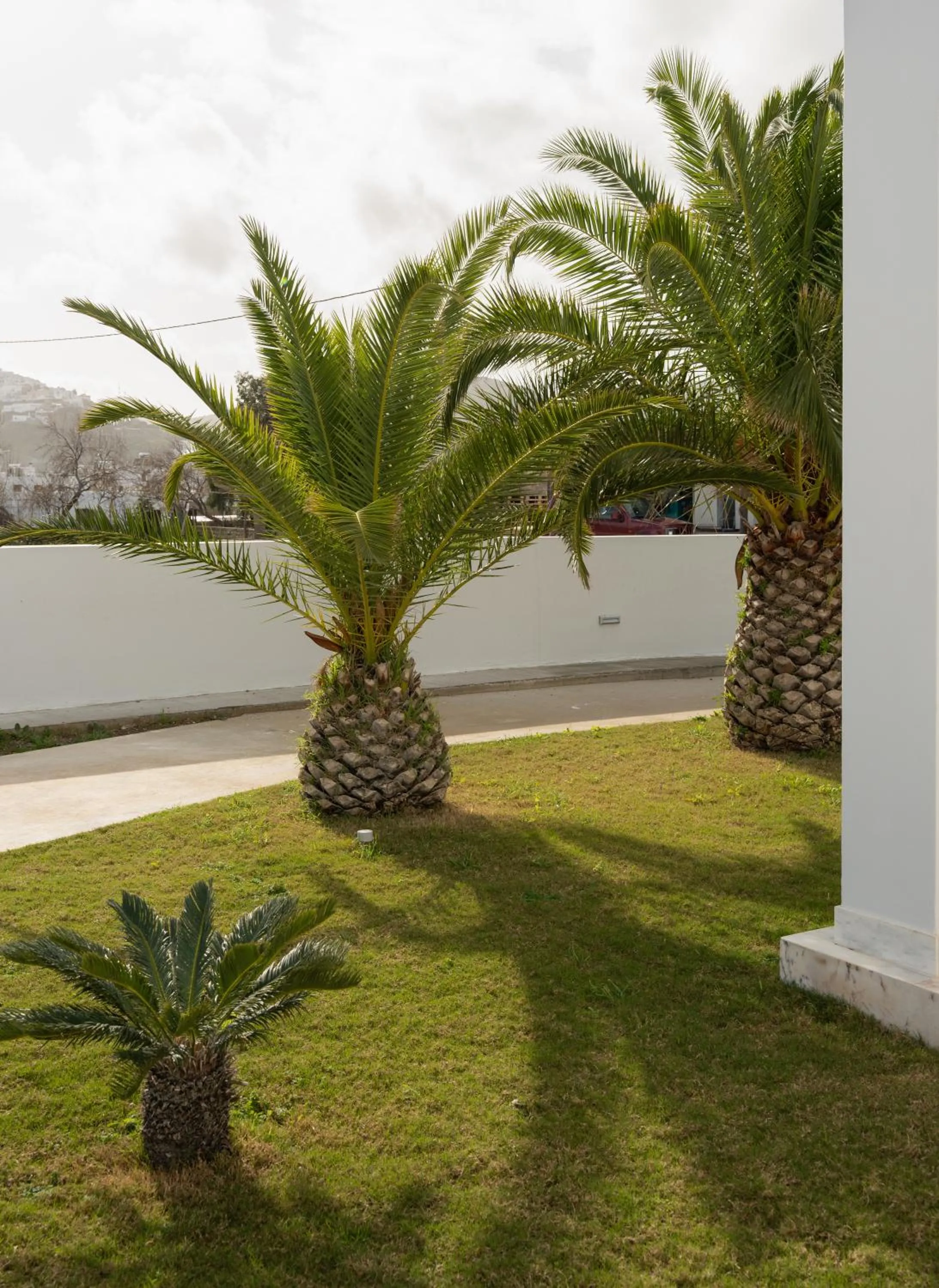 Garden in Tzanis Resort Skyros