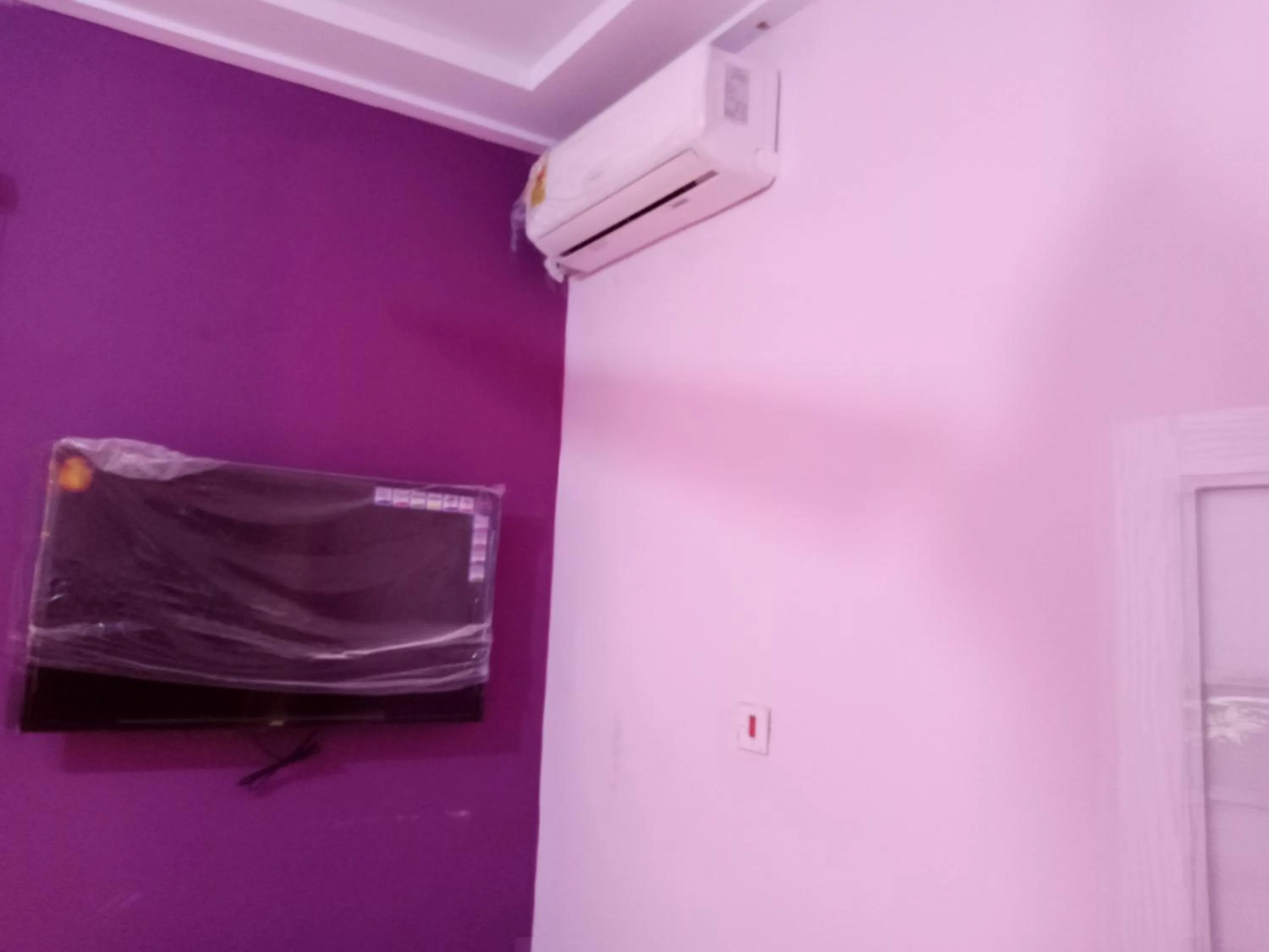 Dexxy's Palace Hotel