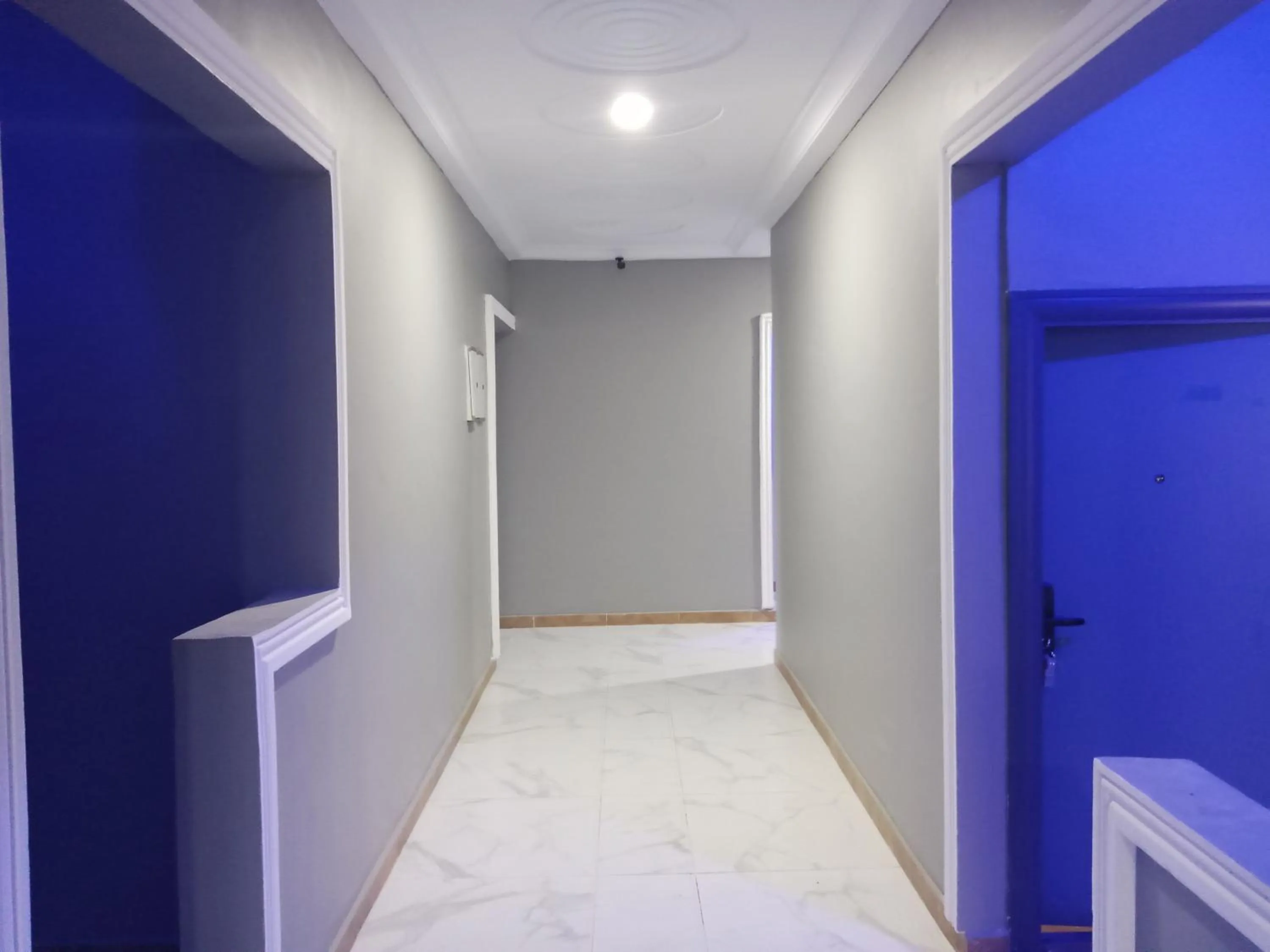 Dexxy's Palace Hotel