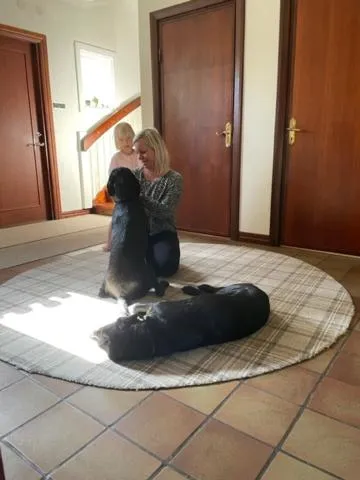 Animals in Ankis Bed and Brekfast, Vimmerby