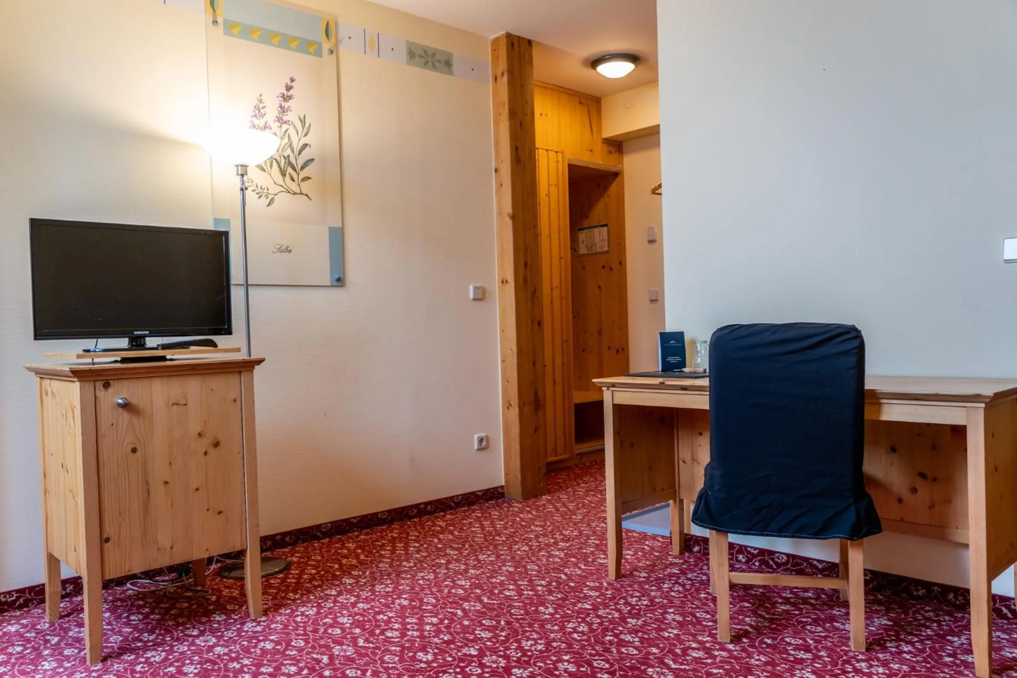 TV and multimedia in Hotel Fichtelberghaus - ganz oben im Erzgebirge