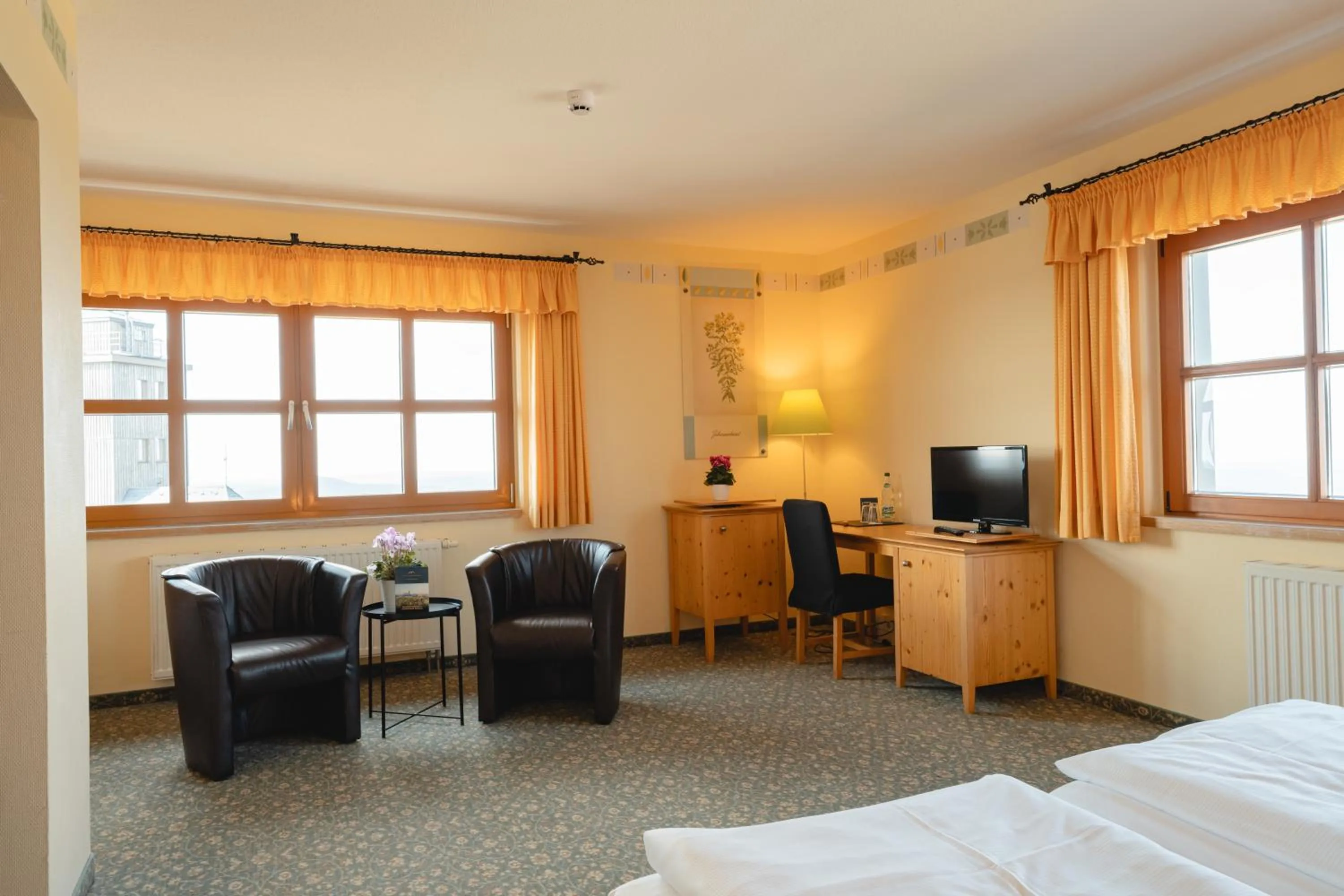 Photo of the whole room, Bed in Hotel Fichtelberghaus - ganz oben im Erzgebirge