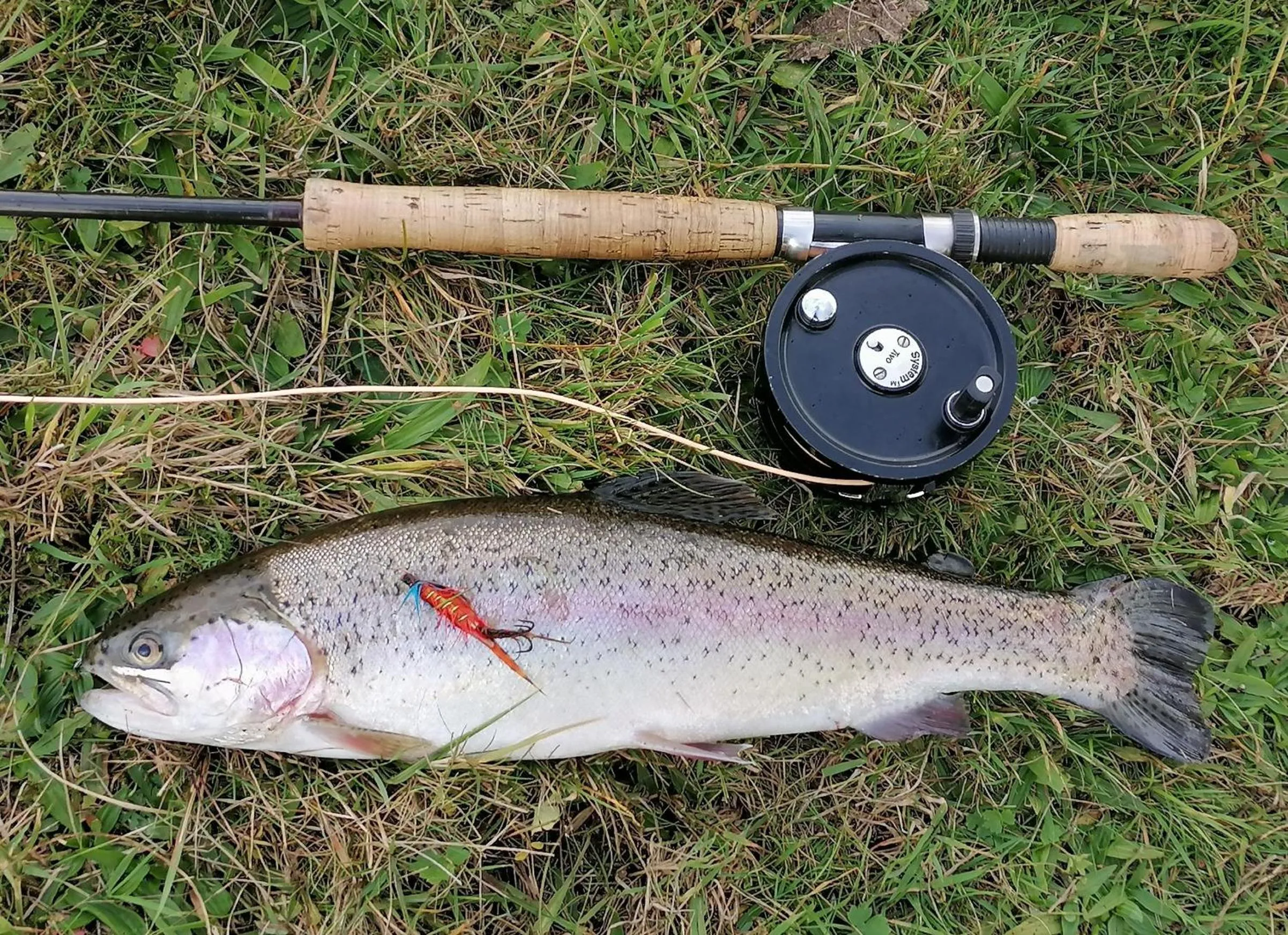 Fishing in rooms for rent Andersen Invest