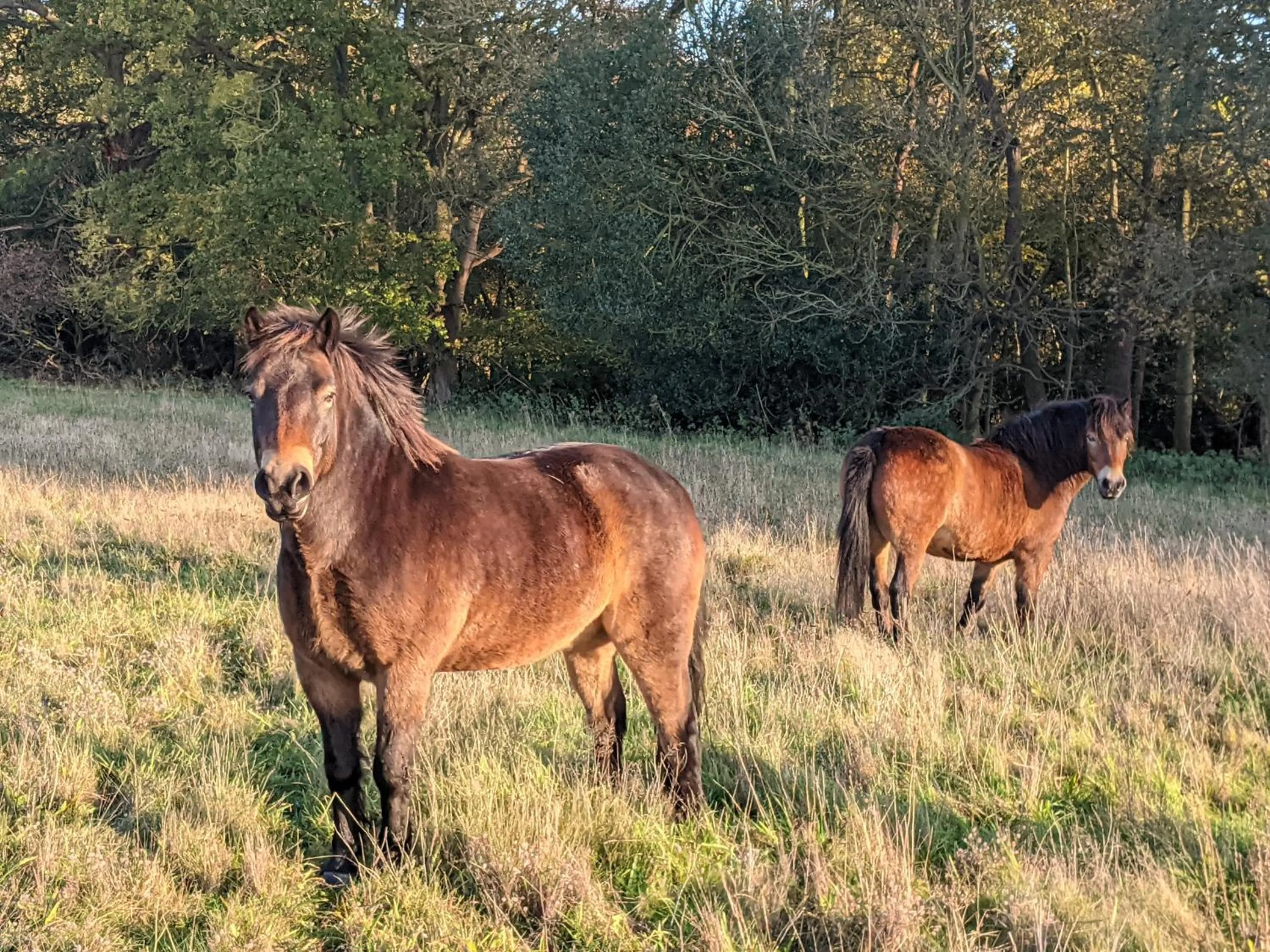 Fritton Lake - The Clubhouse