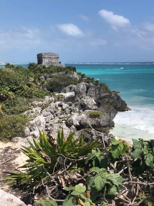 Near Beach+Jungle Views. King bed+220 megs+2 bikes