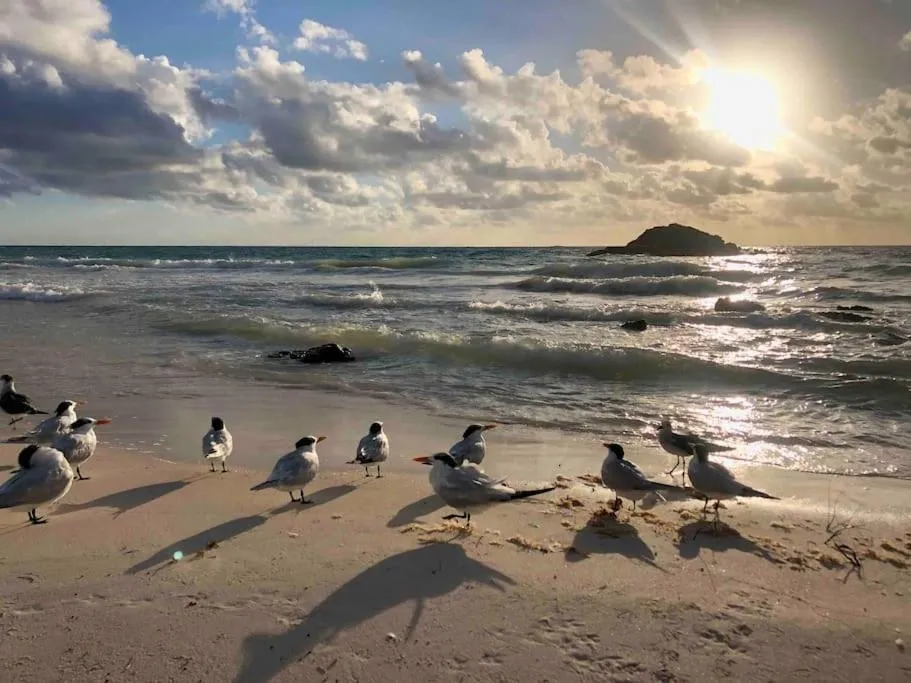 Near Beach+Jungle Views. King bed+220 megs+2 bikes