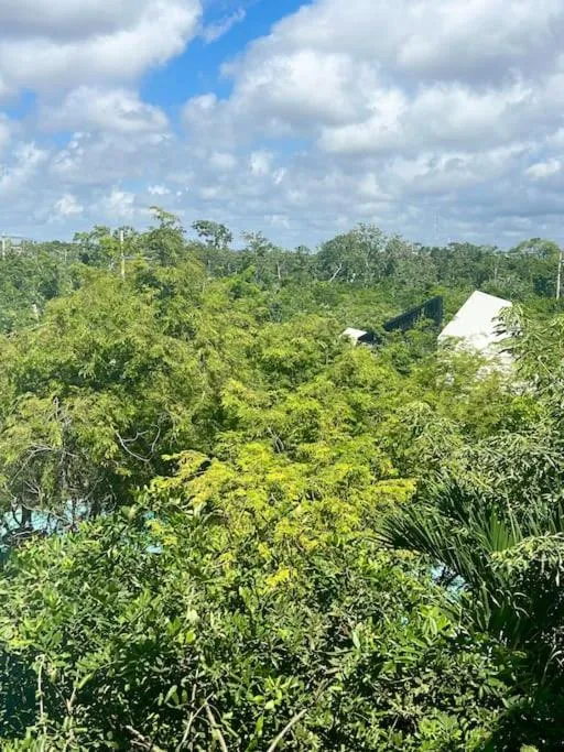 Near Beach+Jungle Views. King bed+220 megs+2 bikes