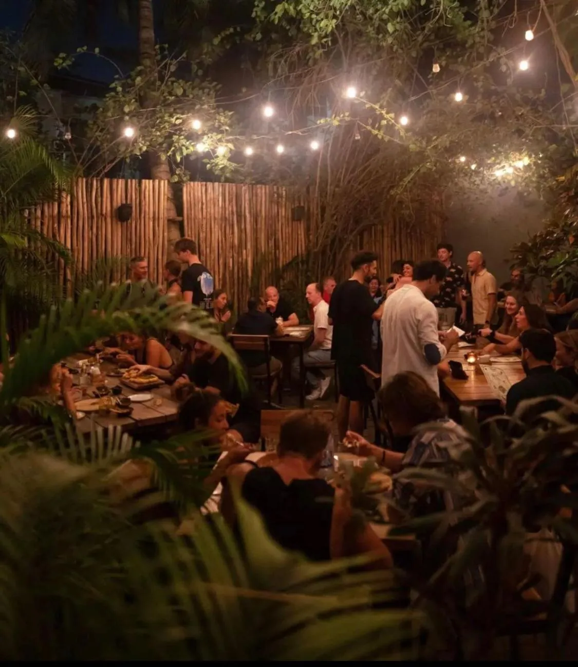 Restaurant/places to eat in MIO Tulum Hotel Boutique