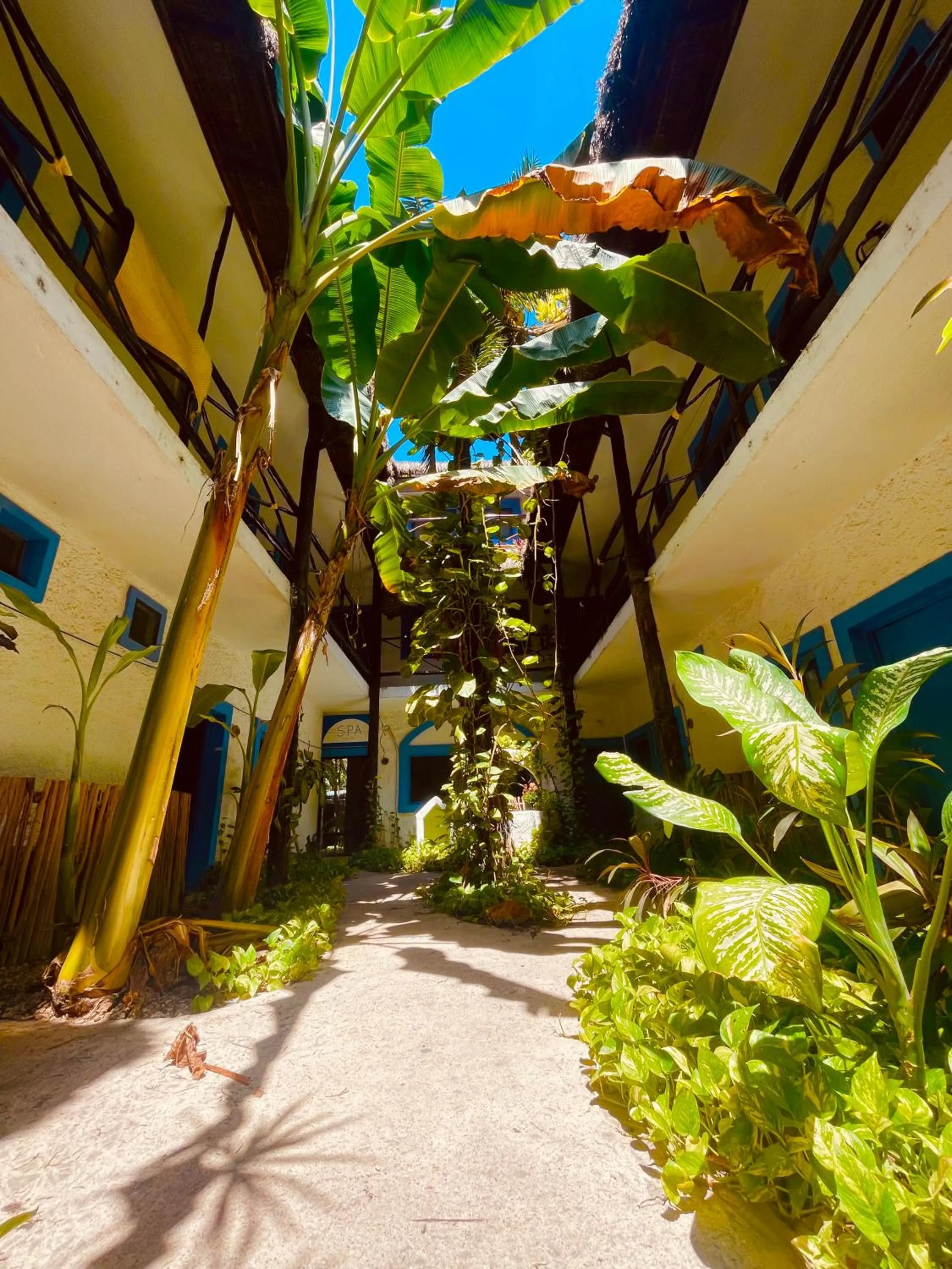 Facade/entrance in MIO Tulum Hotel Boutique