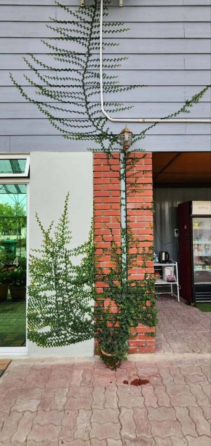 View (from property/room) in Grapevine Garden