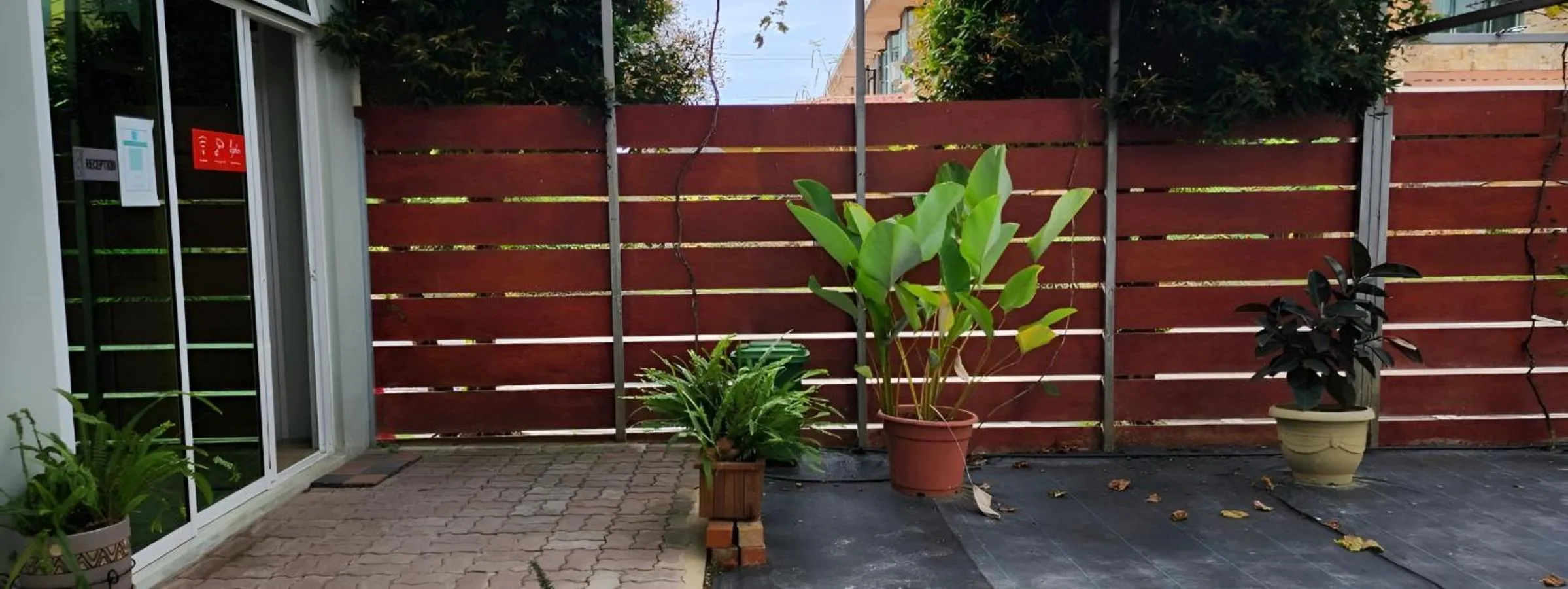 View (from property/room) in Grapevine Garden