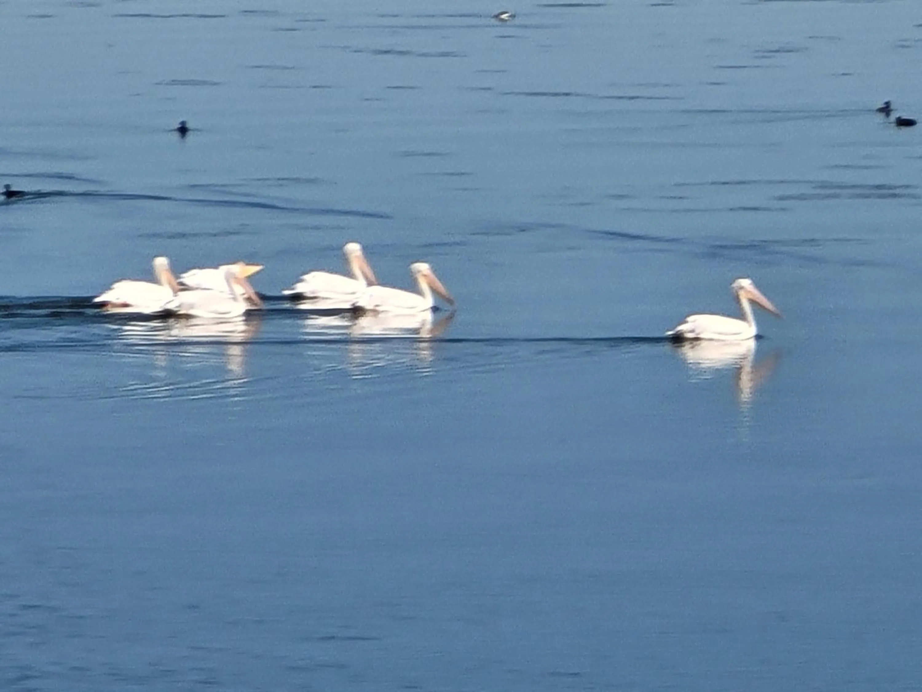 Lake Front Resort (LP#7)