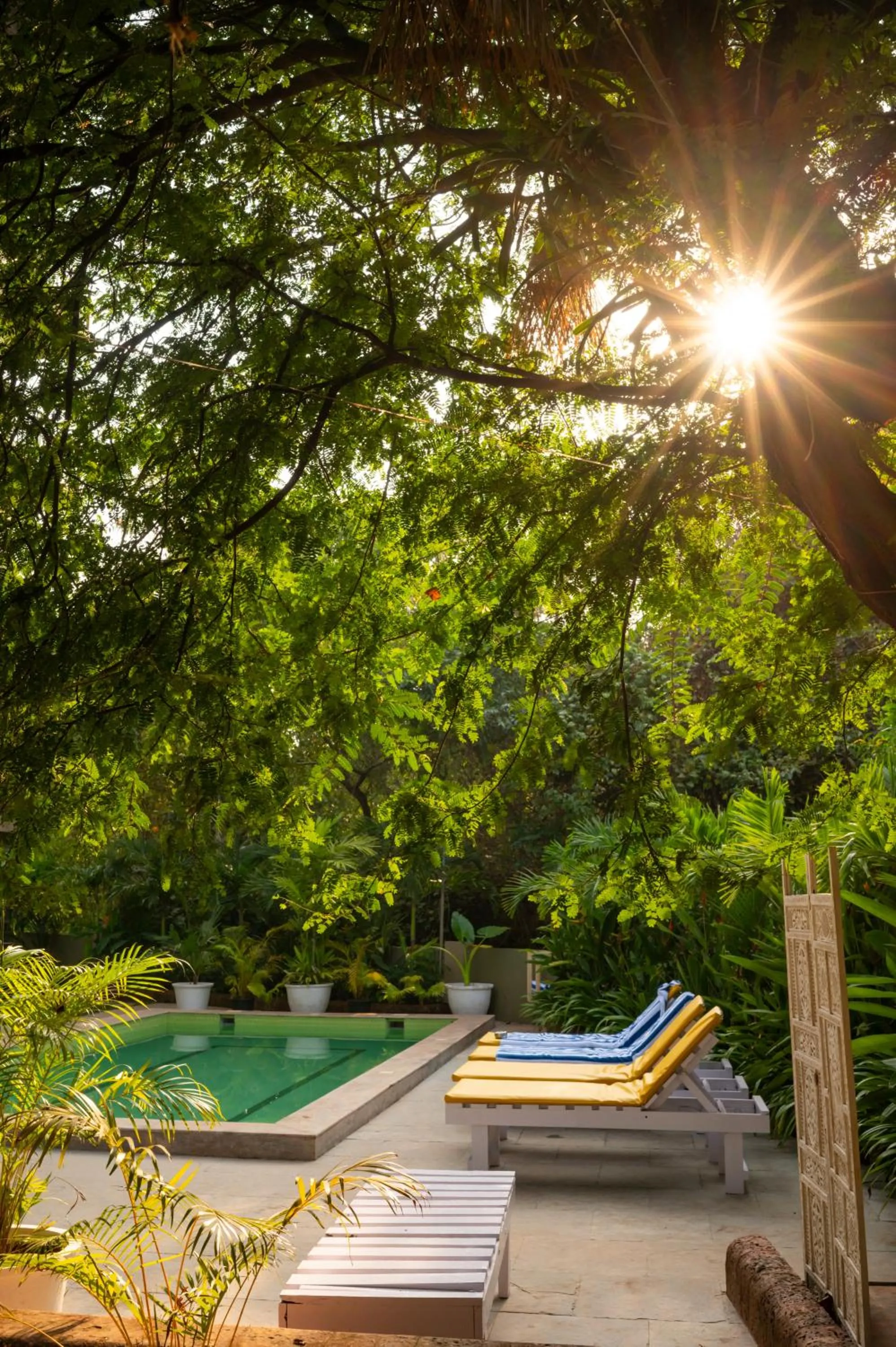 Day in Locomo Boutique, Morjim - Cozy tropical stay, near beach