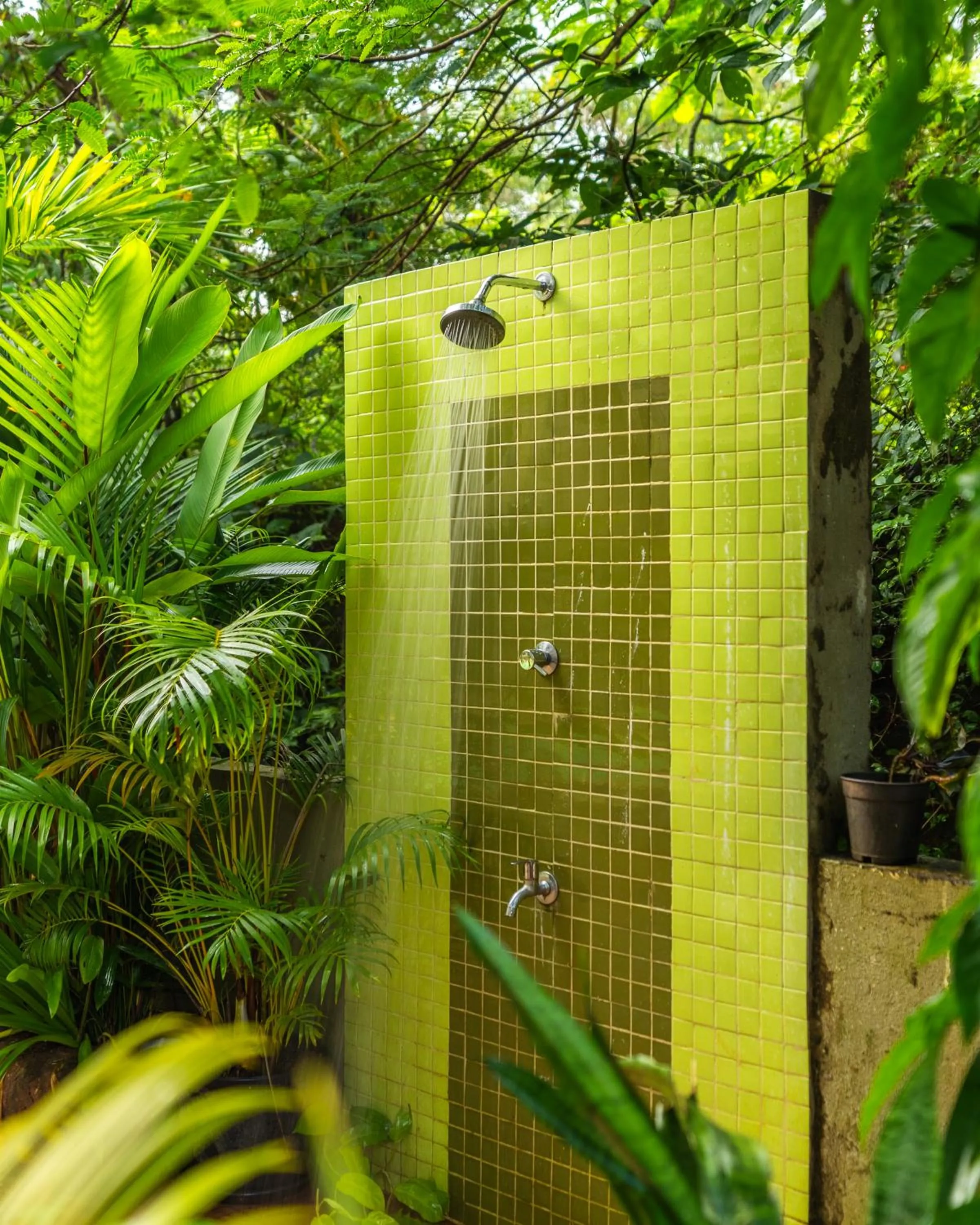 Garden in Locomo Boutique, Morjim - Cozy tropical stay, near beach